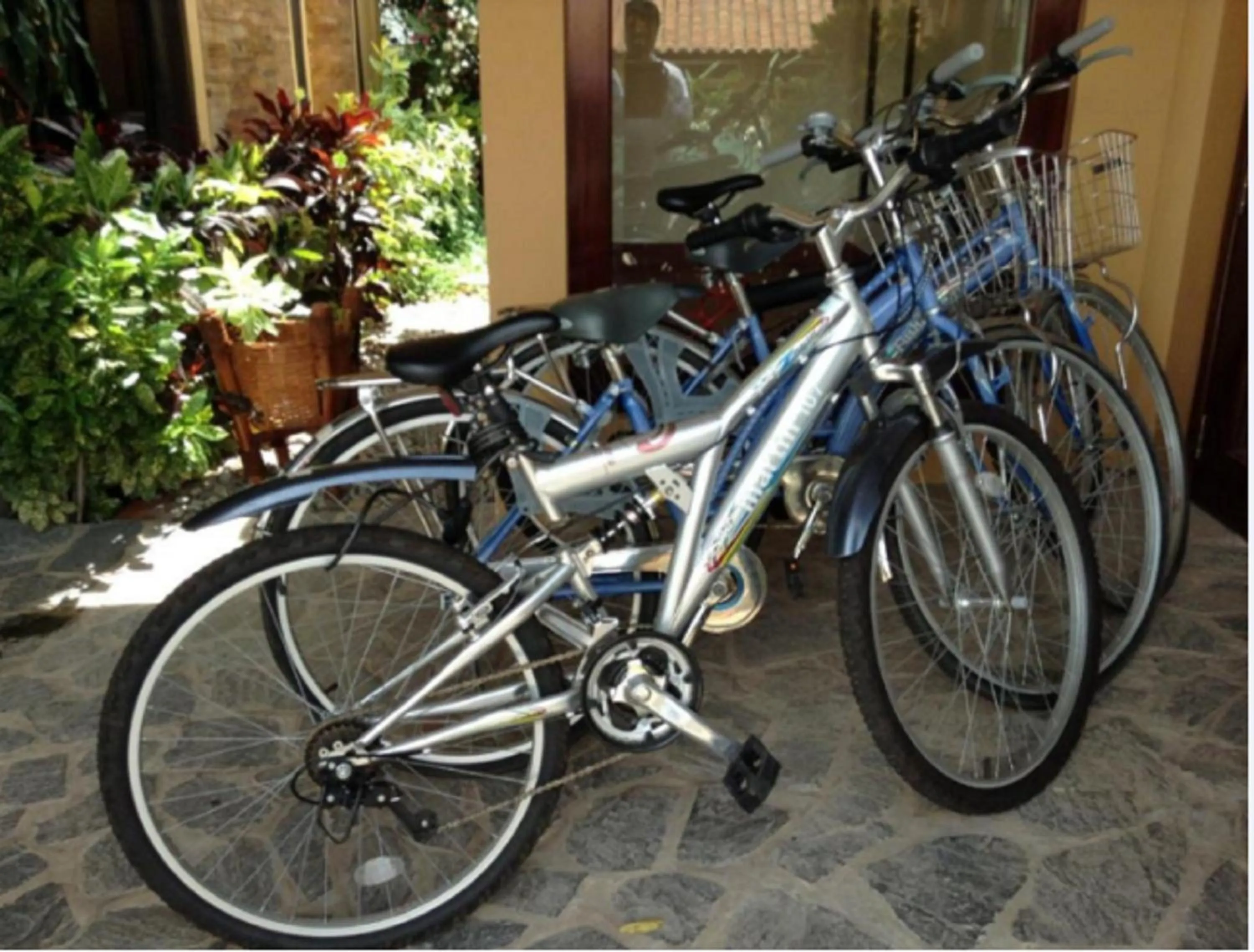 Other, Biking in Poshanu Boutique Resort