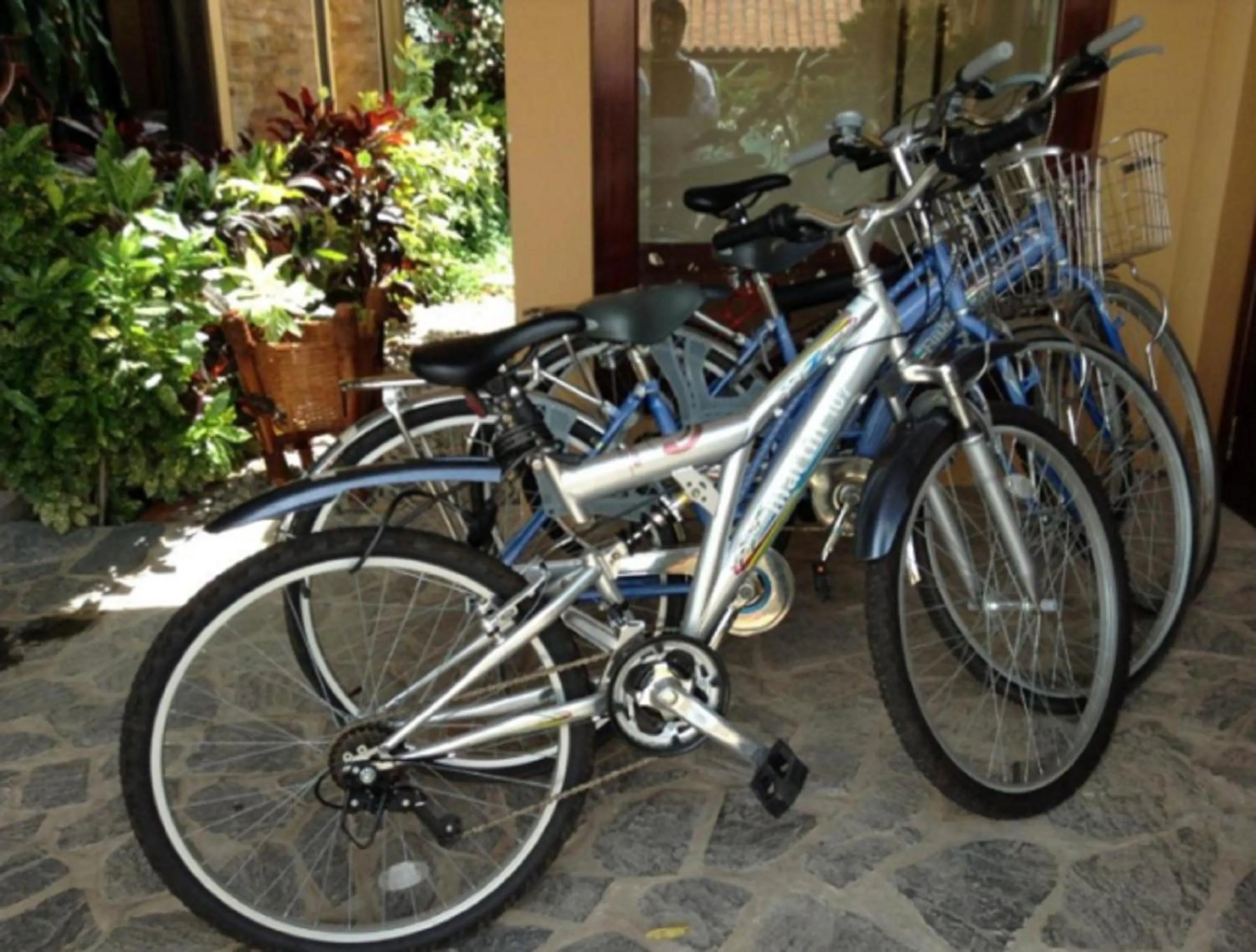 Other, Biking in Poshanu Boutique Resort