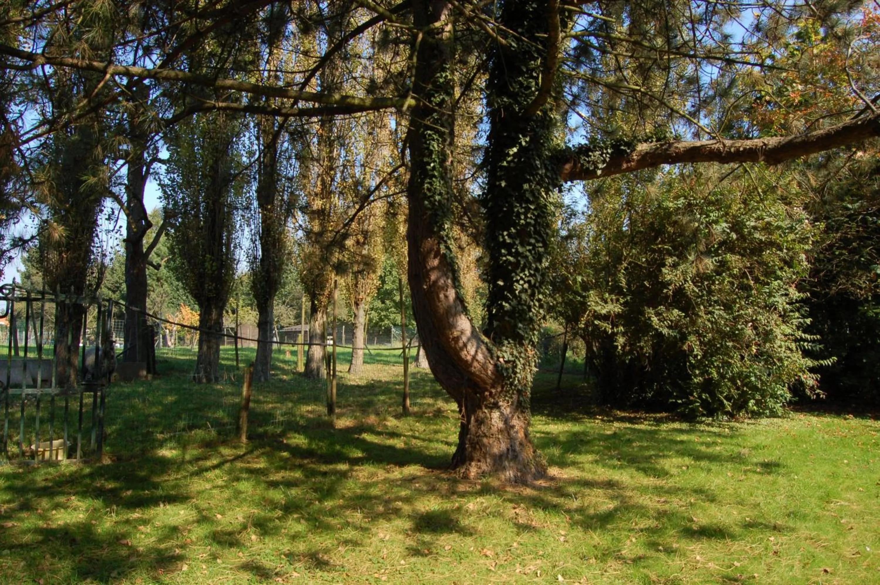Garden in B&B Het Loonderhof