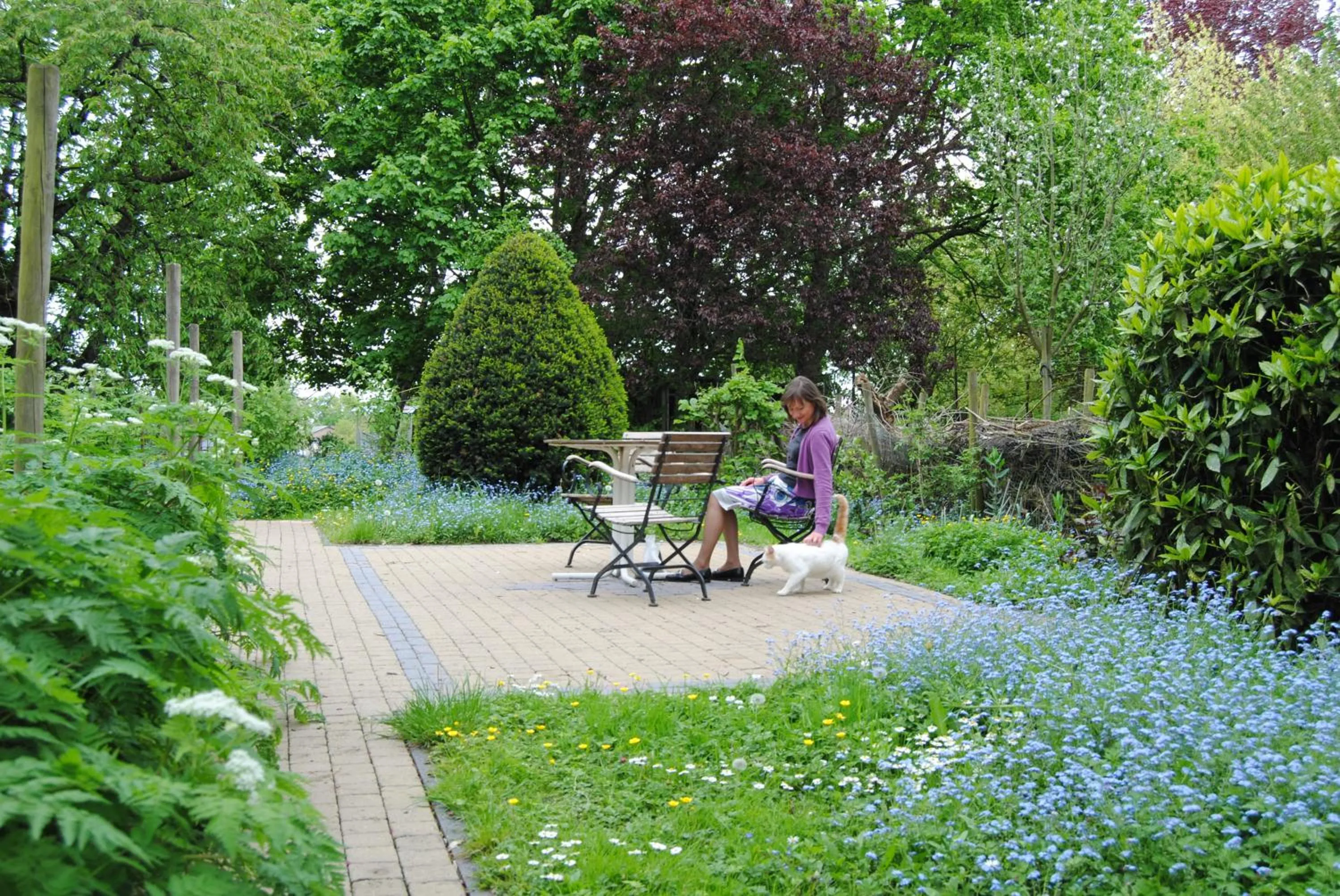 Garden in B&B Het Loonderhof