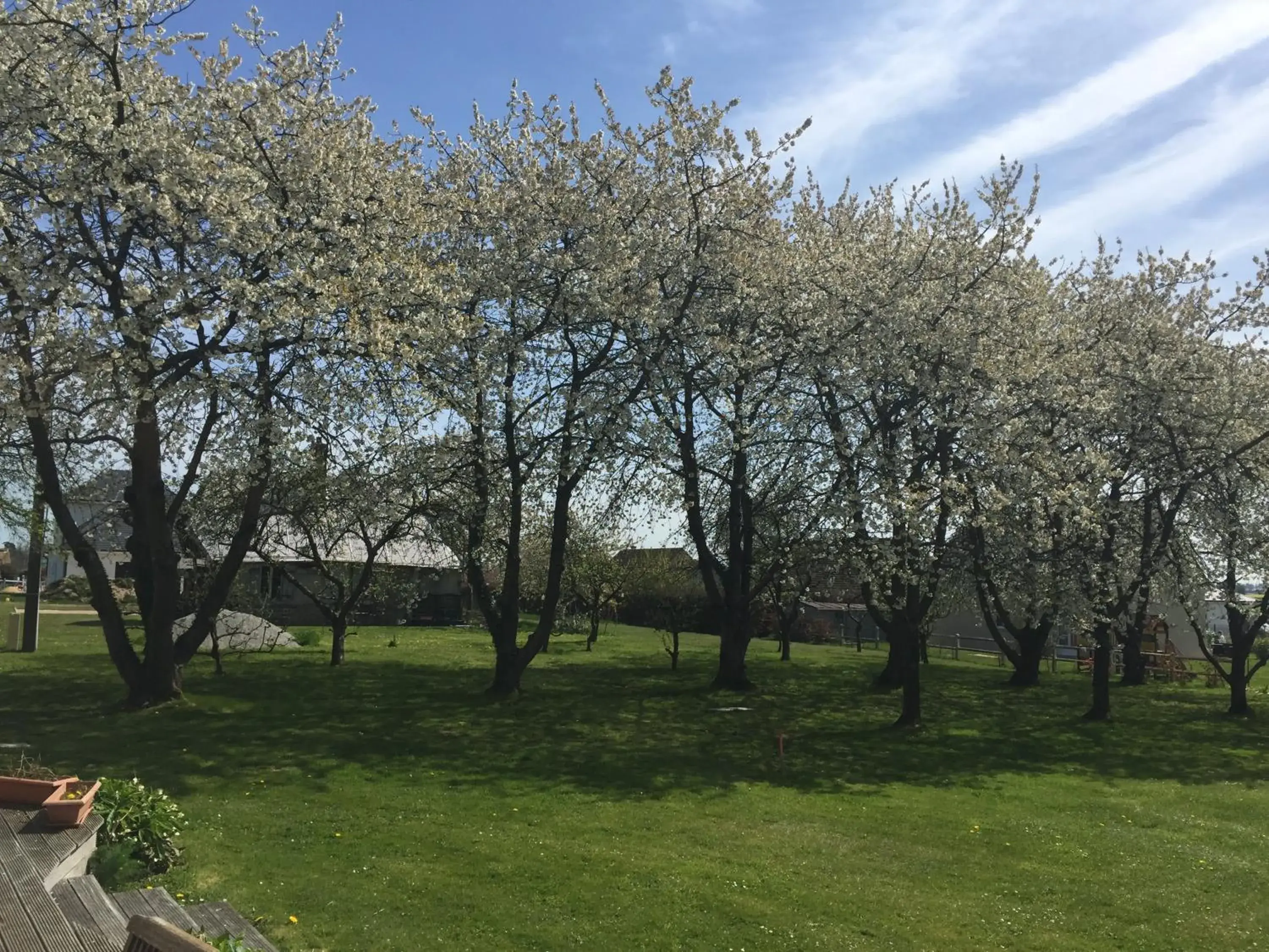 Double or Twin Room in Chambres D'hôtes le clos de la Bertinière petit déjeuner inclus Double or Twin Room in Chambres D'hôtes le clos de la Bertinière petit déjeuner inclus