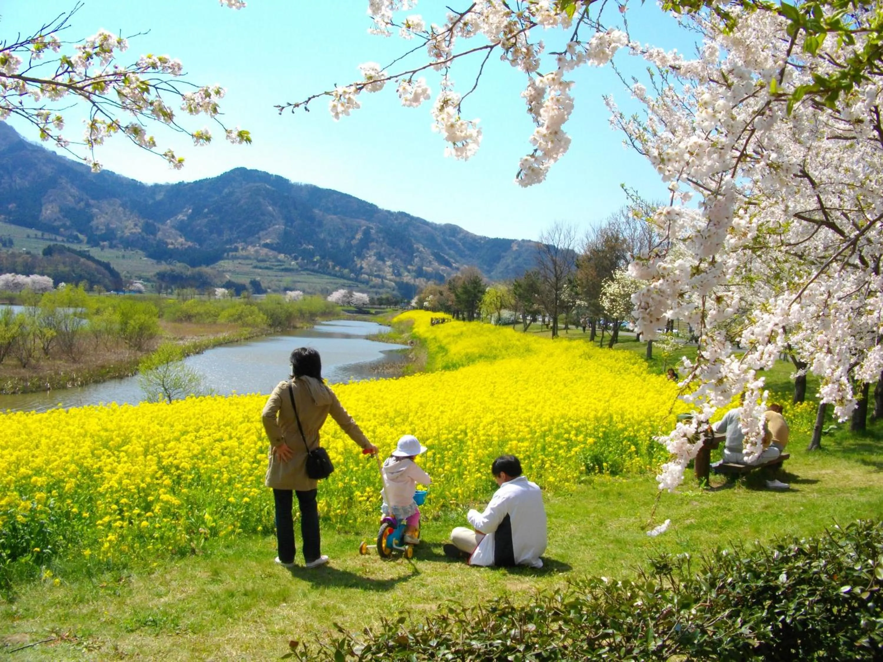 Nearby landmark in Hotel Sunroute Niigata
