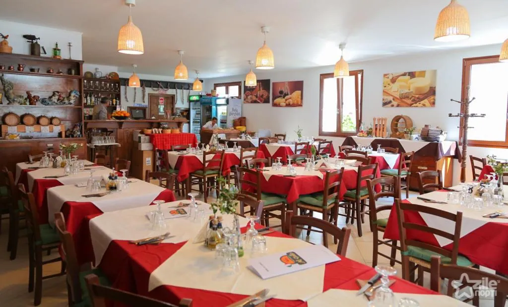 Restaurant/places to eat in Trattoria Al Gallo