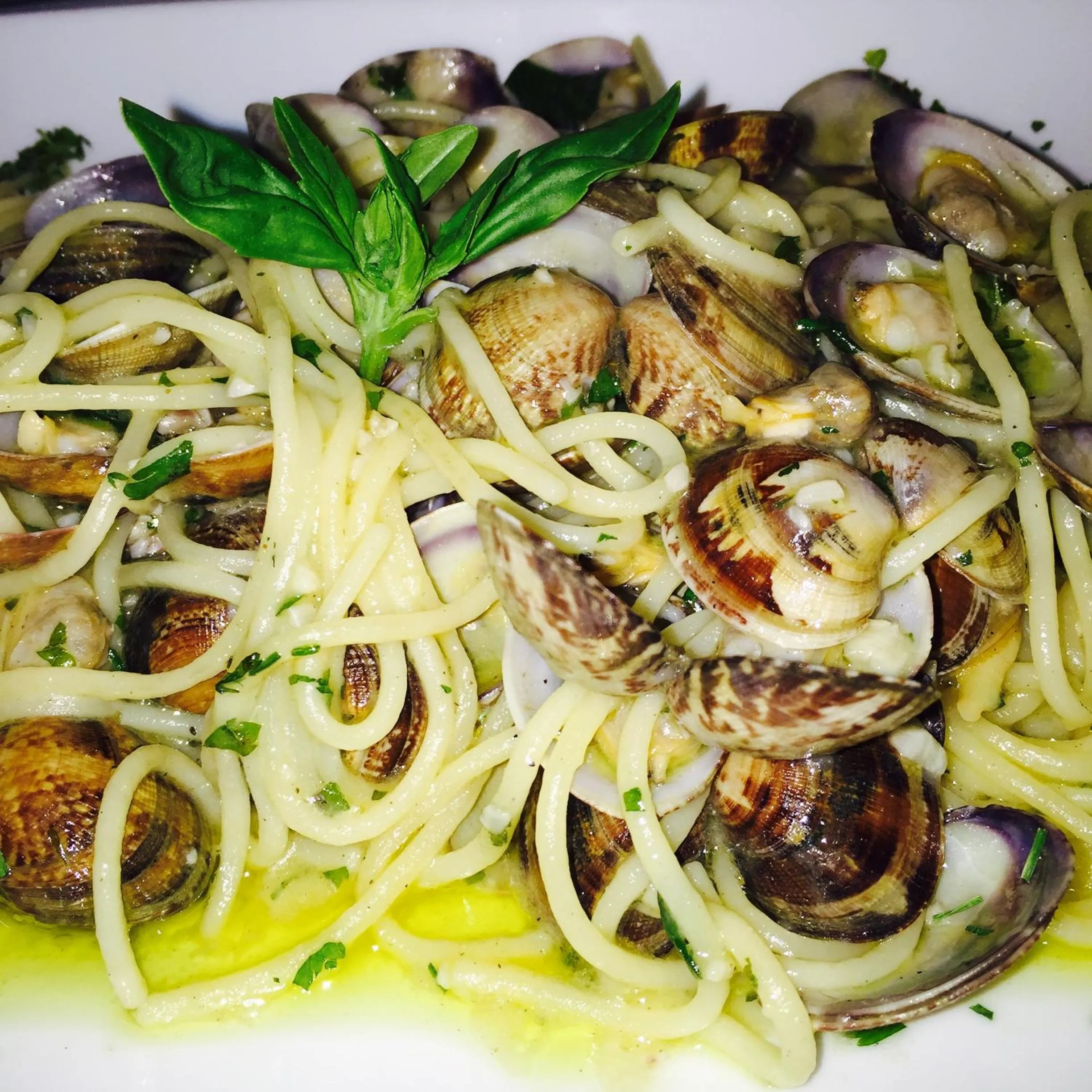 Restaurant/places to eat in Trattoria Al Gallo