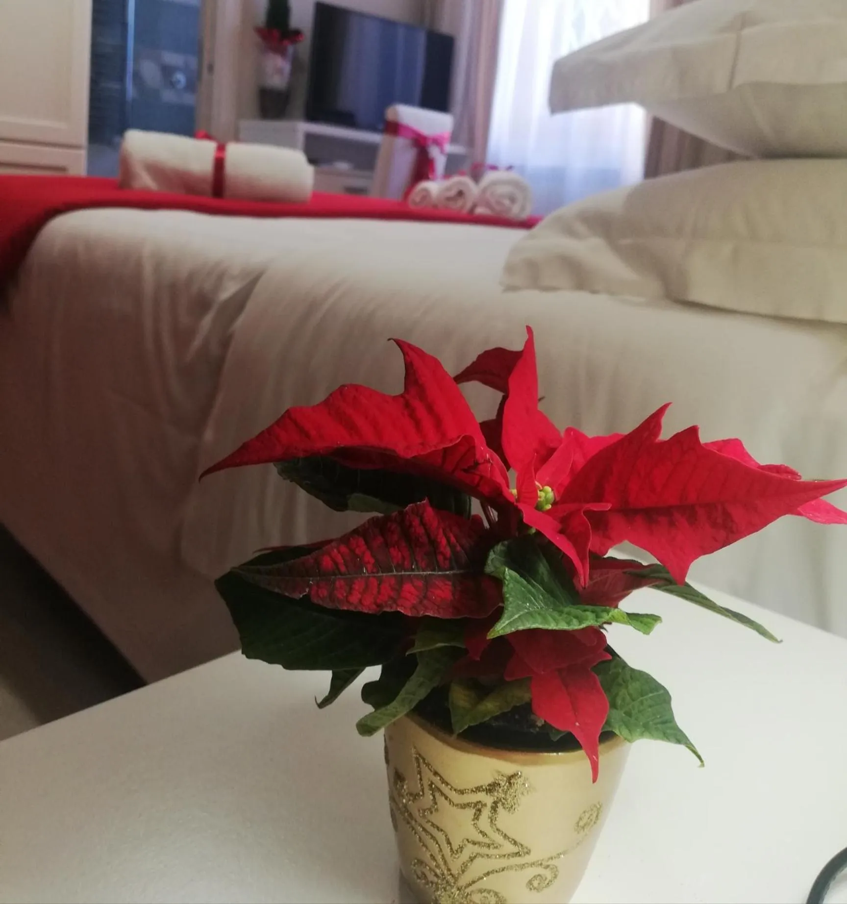 Bed in L' albero di giada