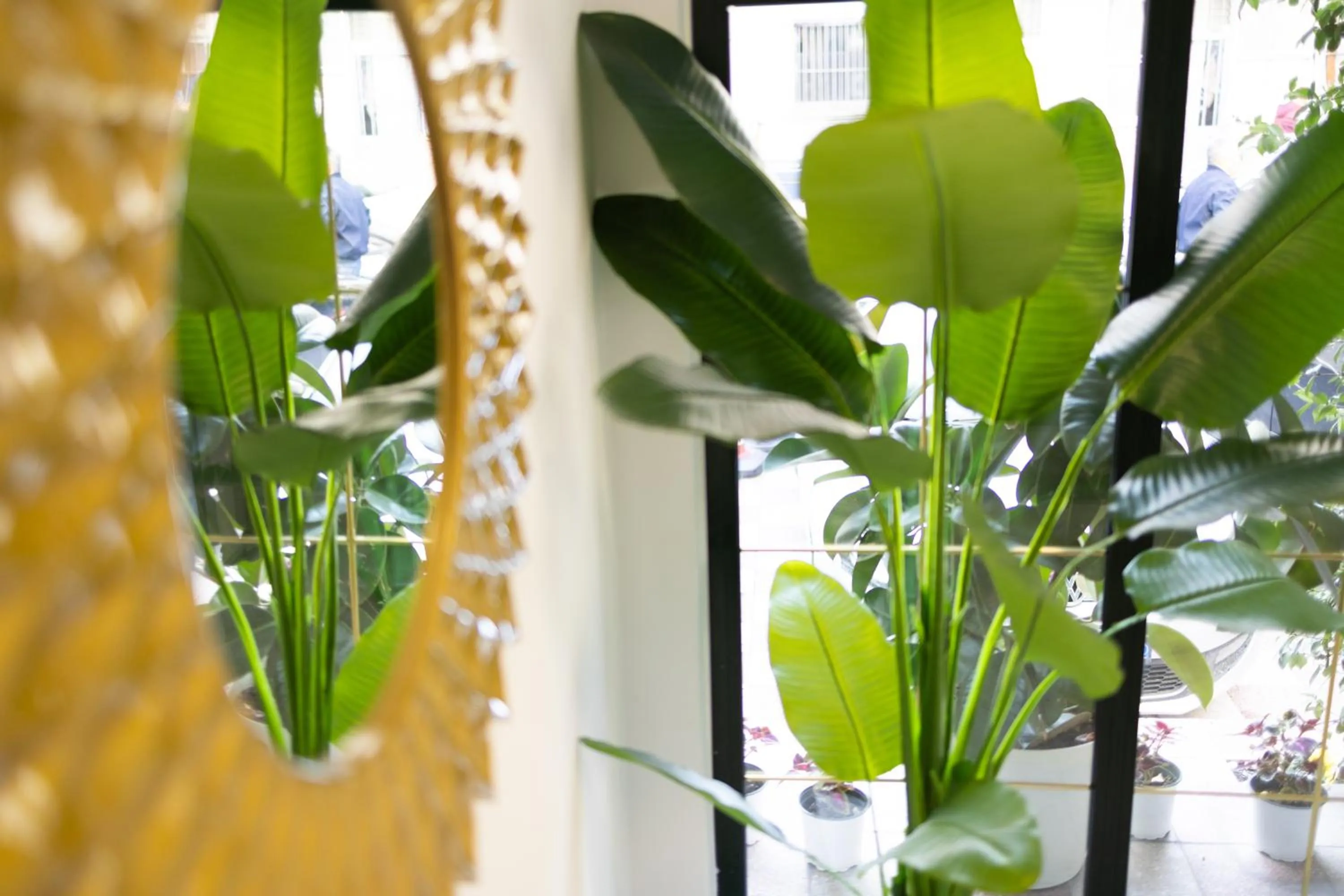 Decorative detail in Hotel Liqeni