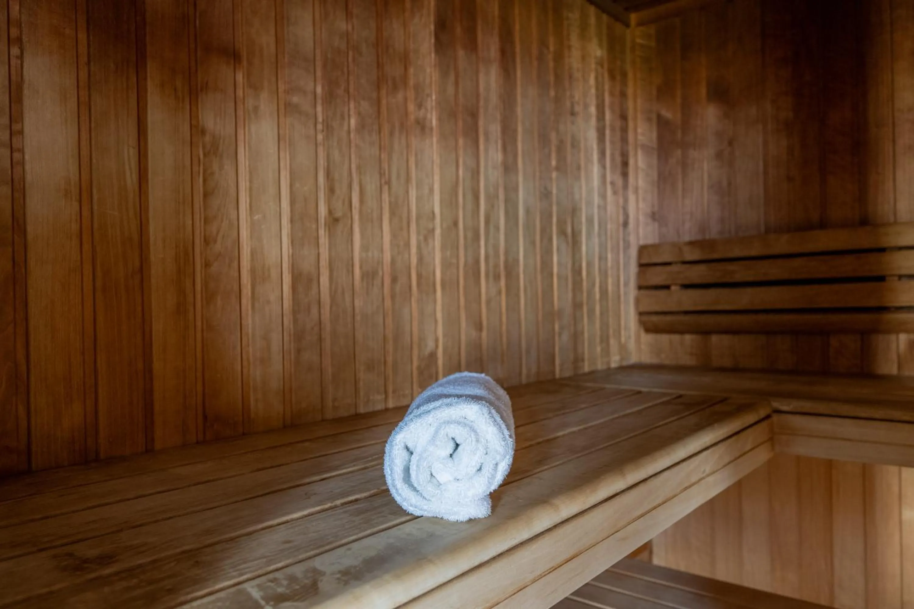 Sauna in Nemea Appart Hotel Concorde Toulouse Gare Matabiau