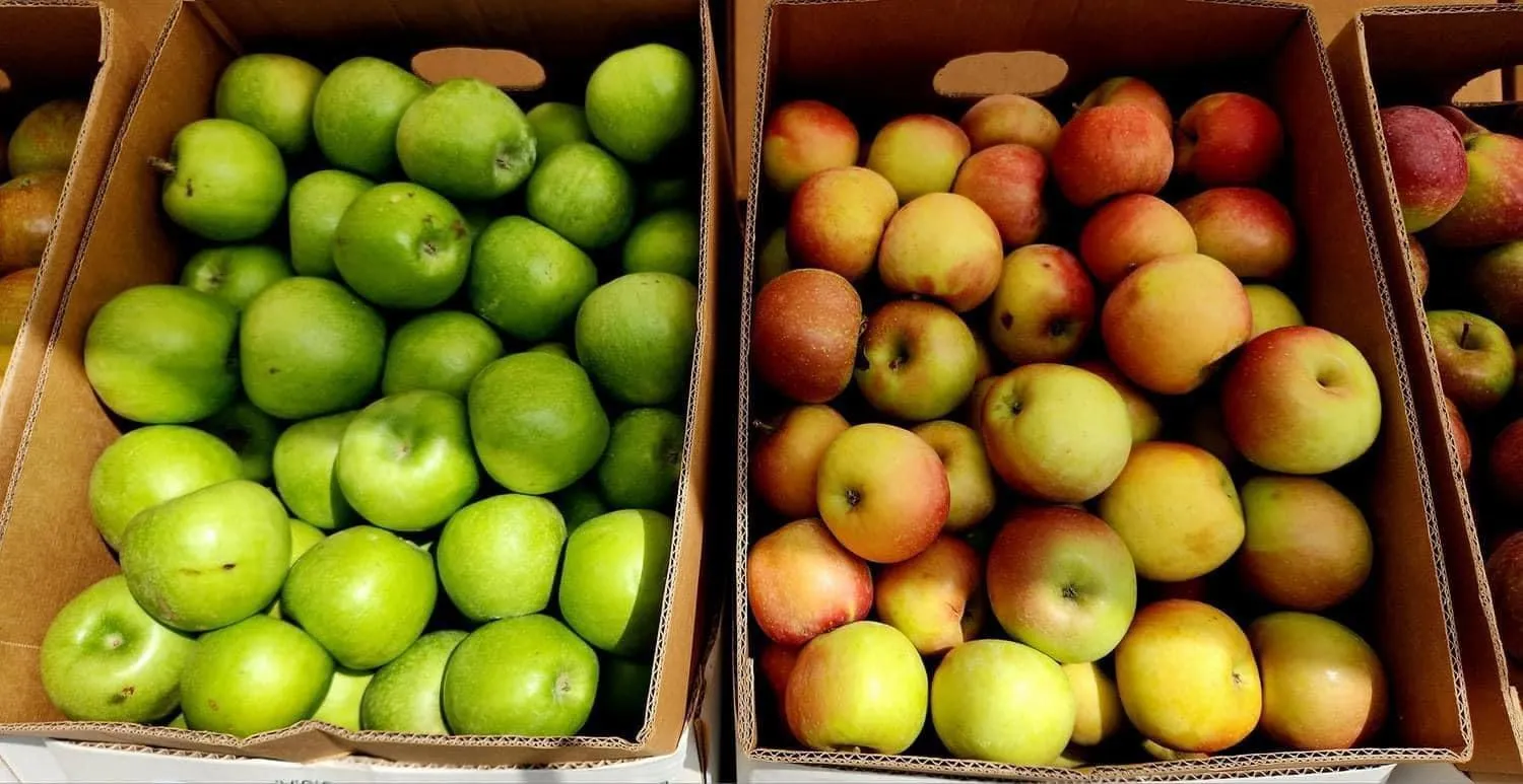 Other in Fire Mountain