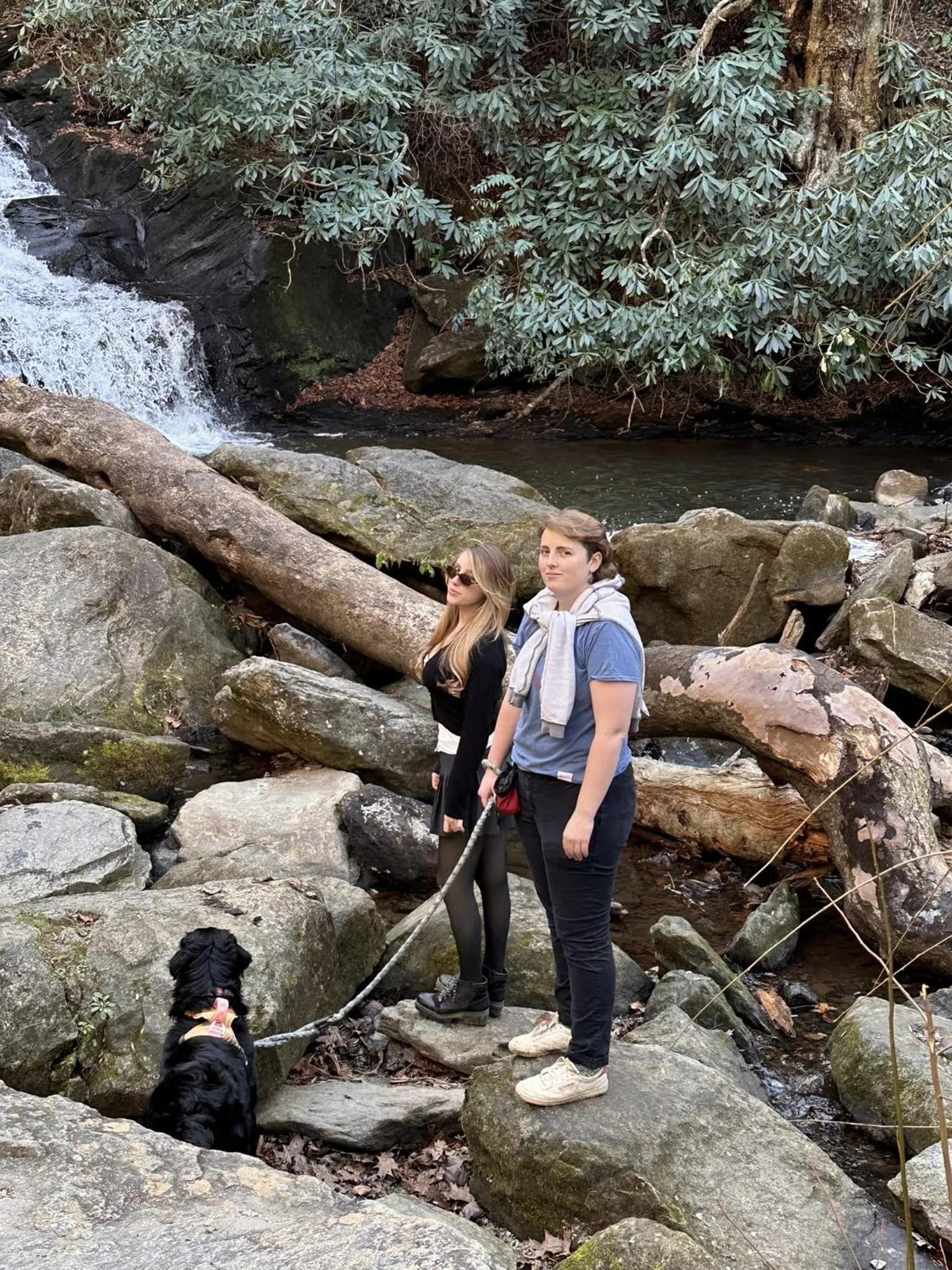 Other in Fire Mountain