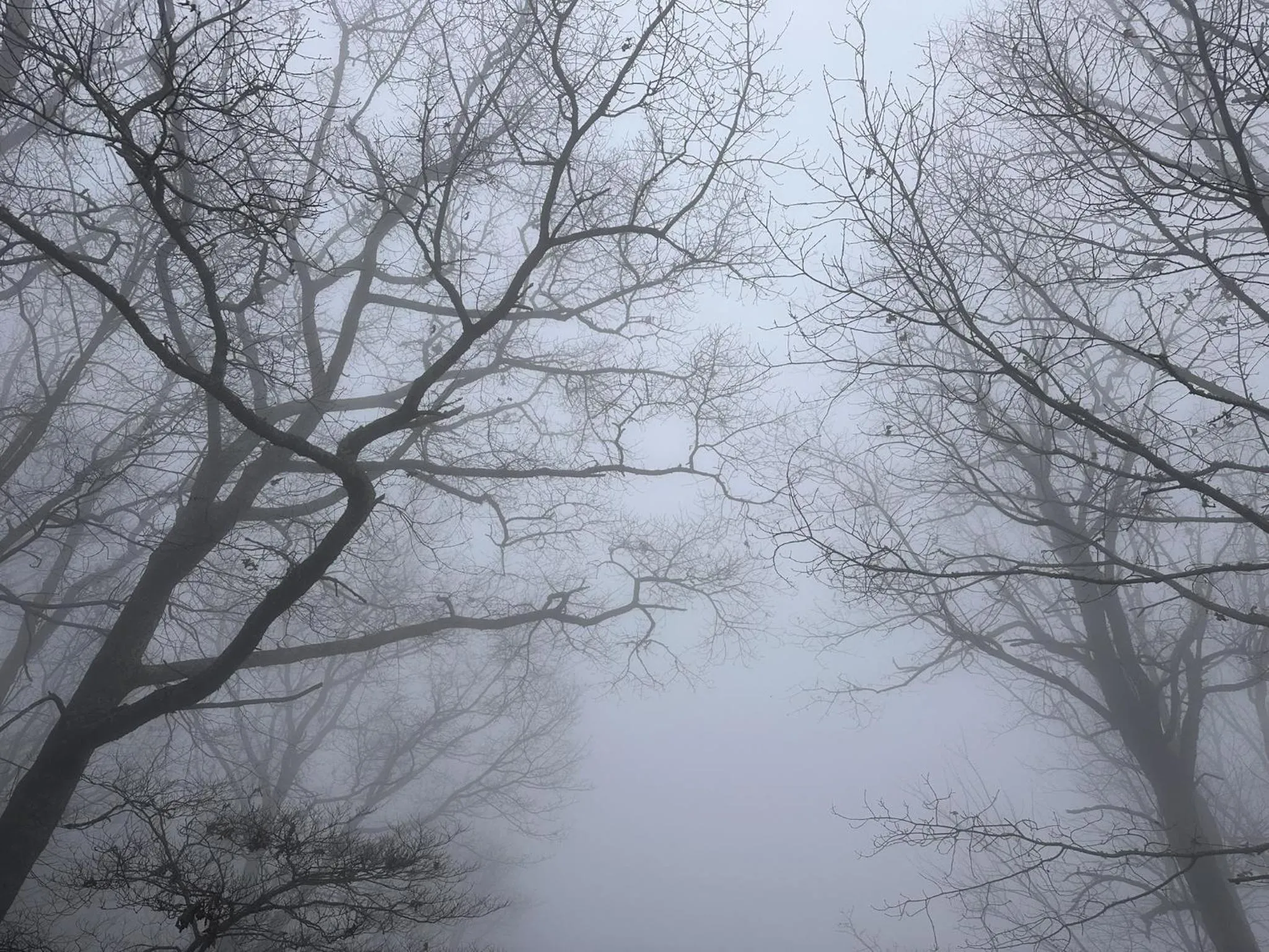 Other in Fire Mountain