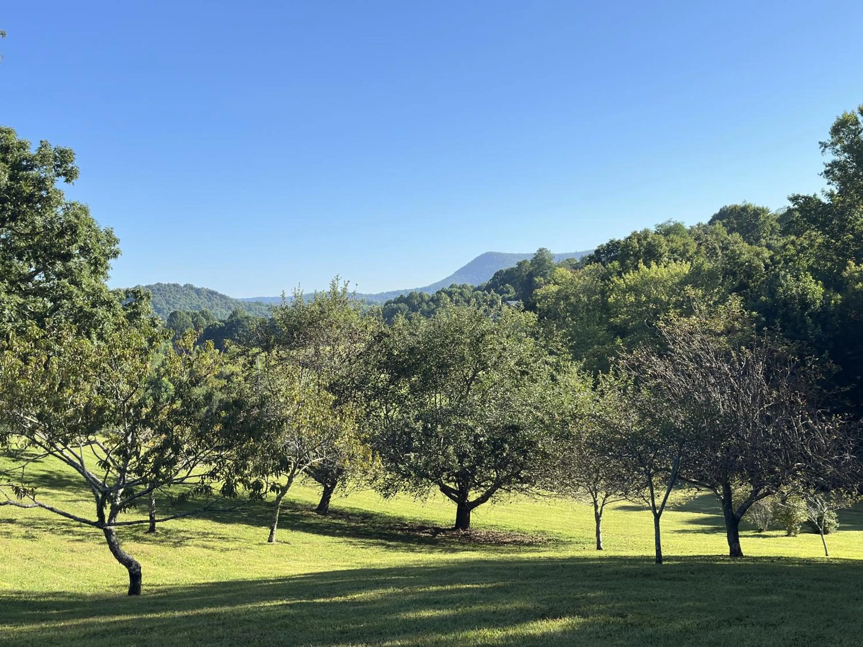 Other in Fire Mountain