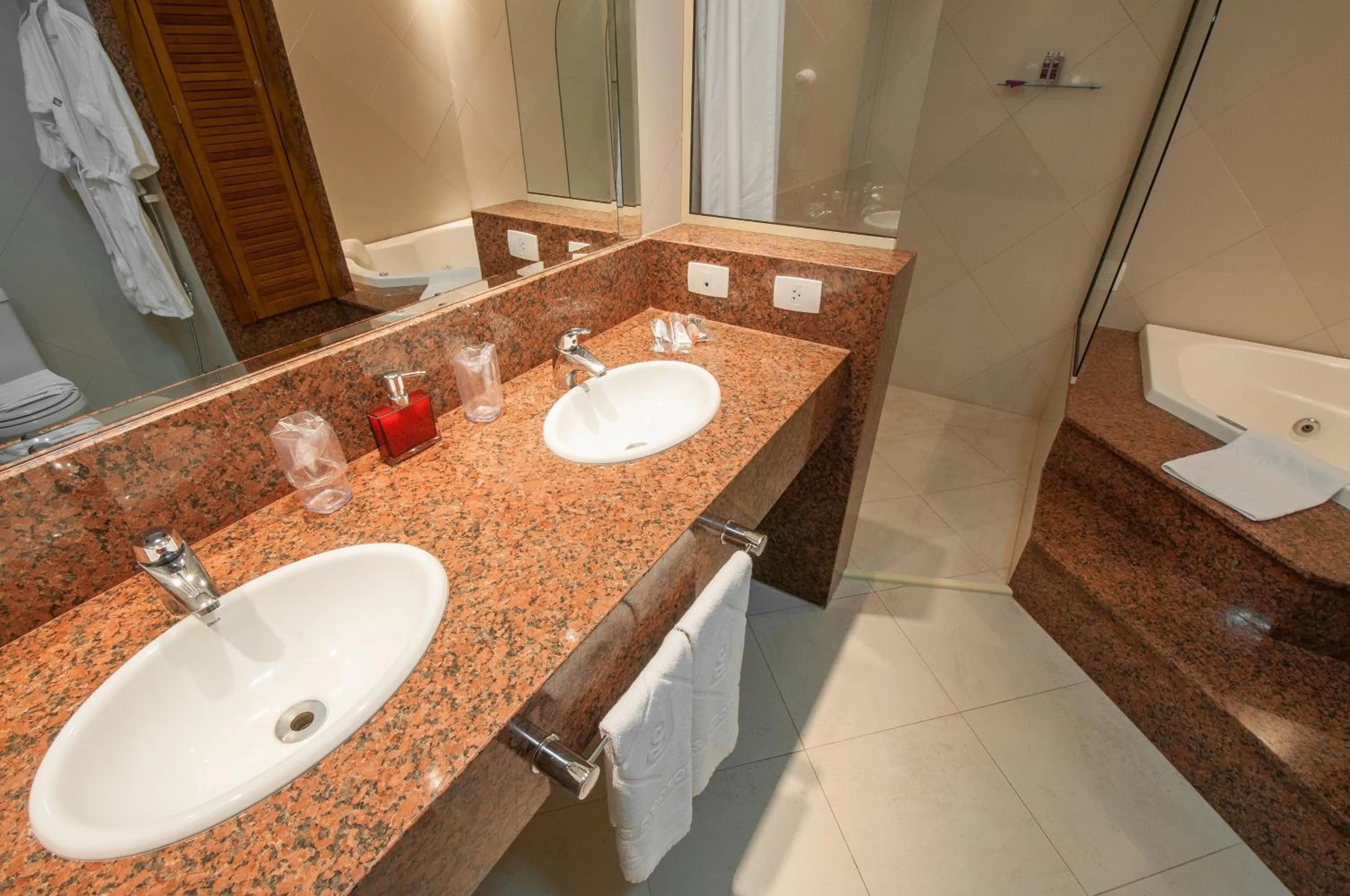 Bathroom in Jacques Georges Tower