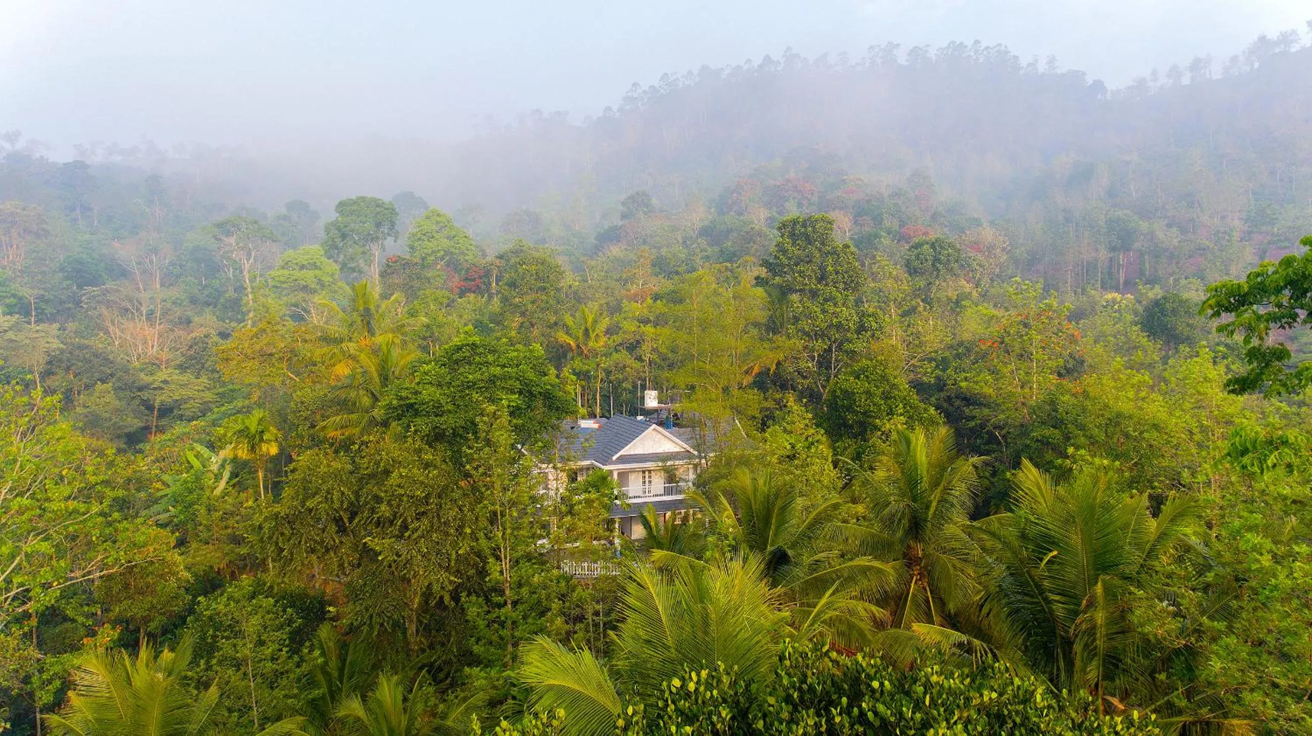 Alencherry plantation homestay