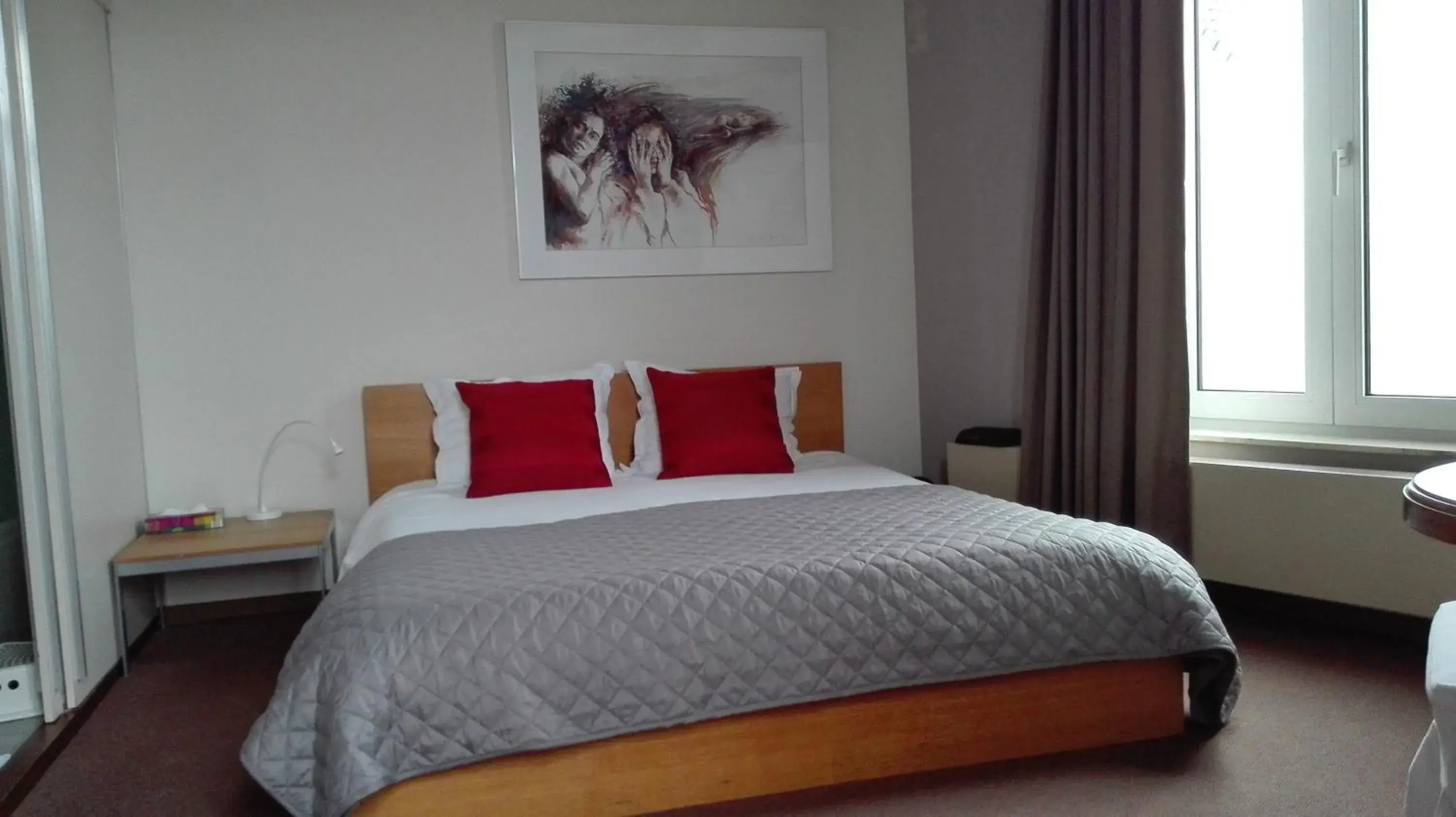 Double or Twin Room - single occupancy in Hotel Hooghuys Double or Twin Room - single occupancy in Hotel Hooghuys