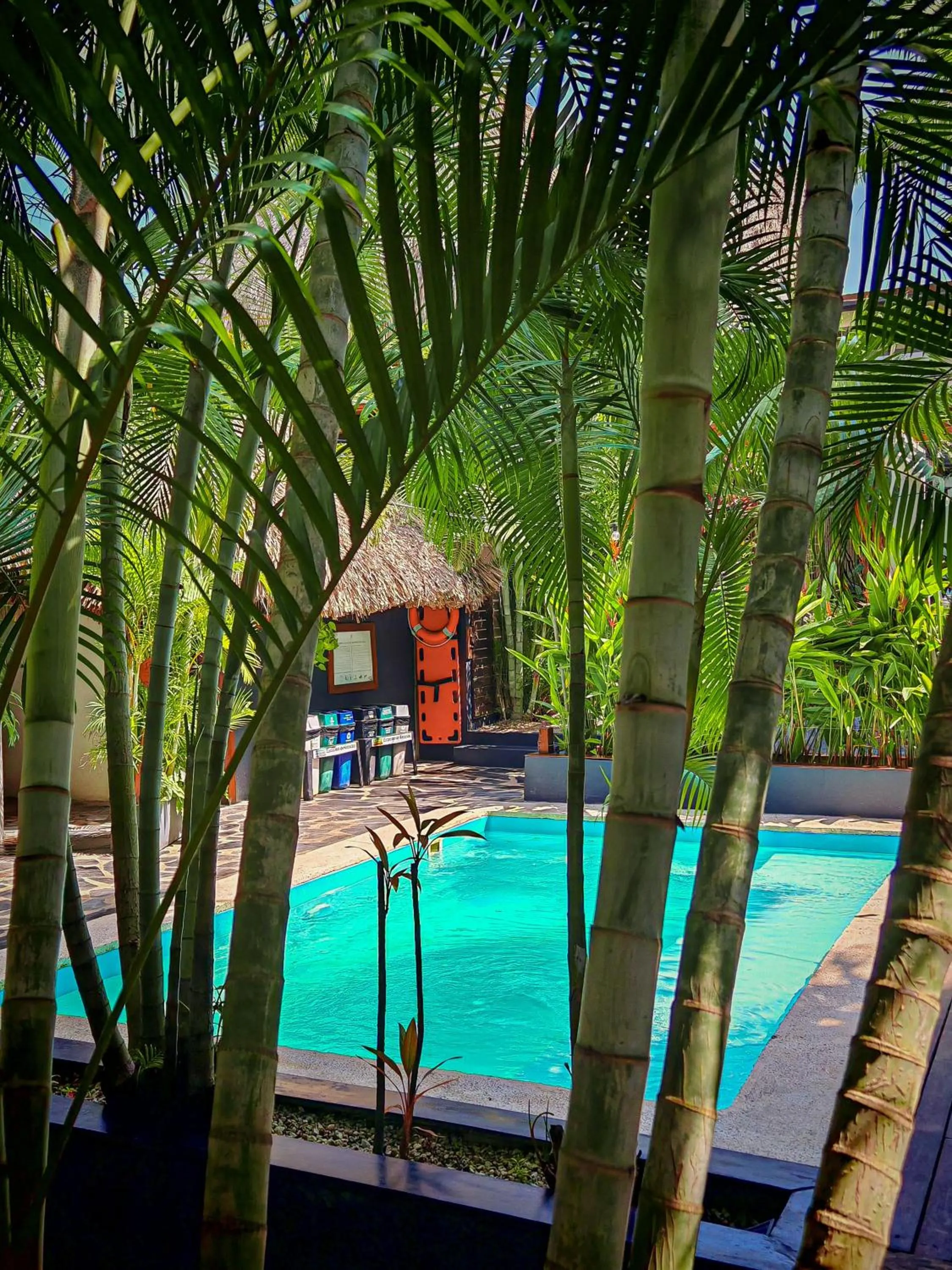 Garden in Villa Eden Palomino