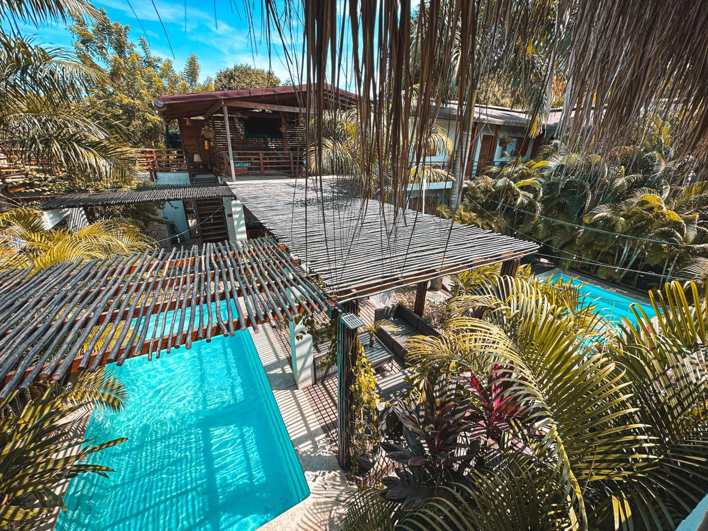 Garden in Villa Eden Palomino