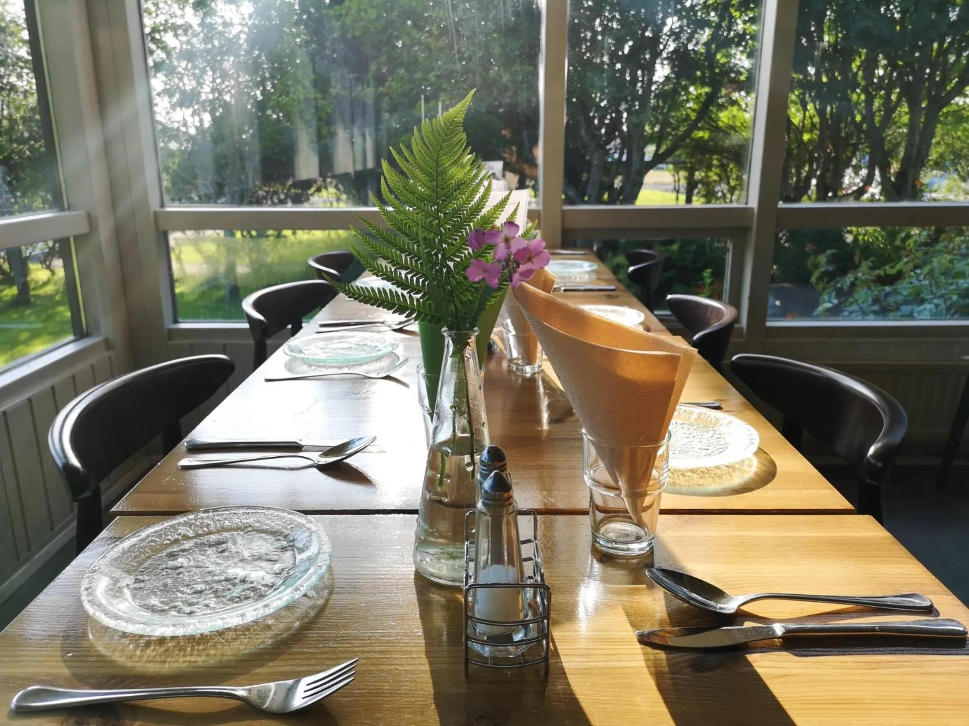 Dinner in Sólheimahjáleiga Guesthouse