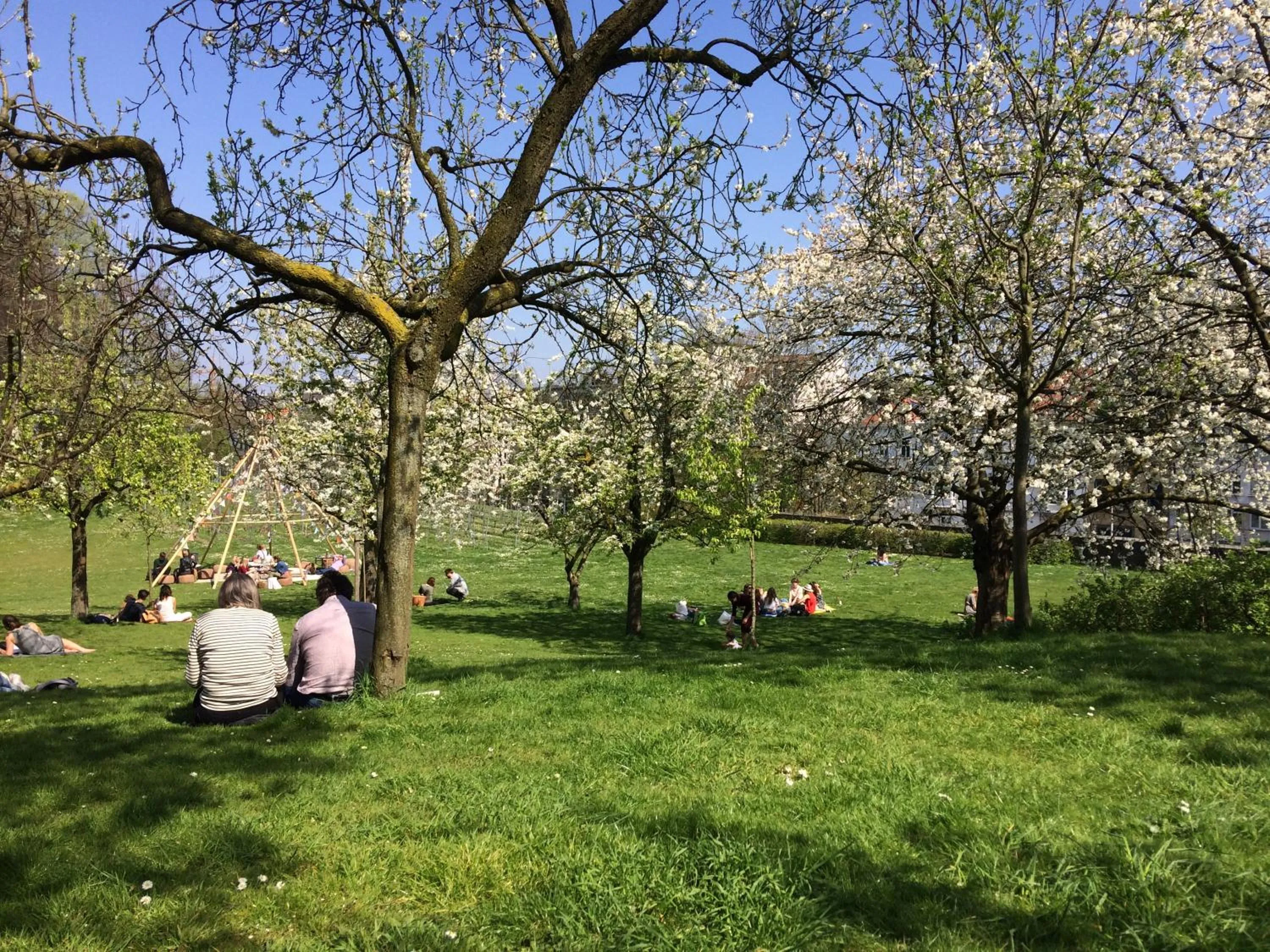 Spring in Designflats Gent