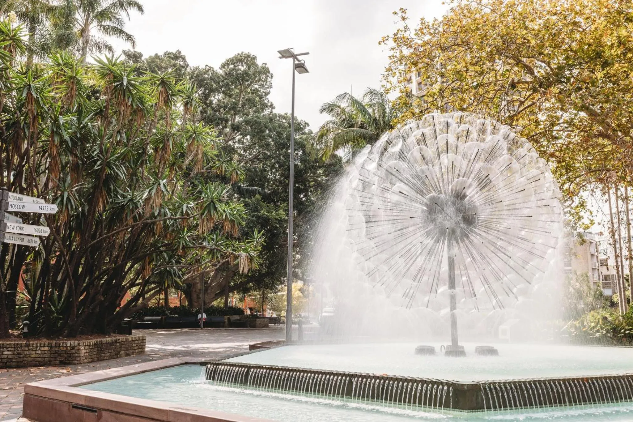 Area and facilities in Holiday Inn Sydney Potts Point