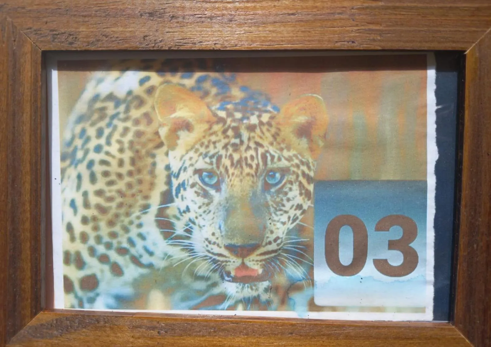 Property building in Pousada Zambeze