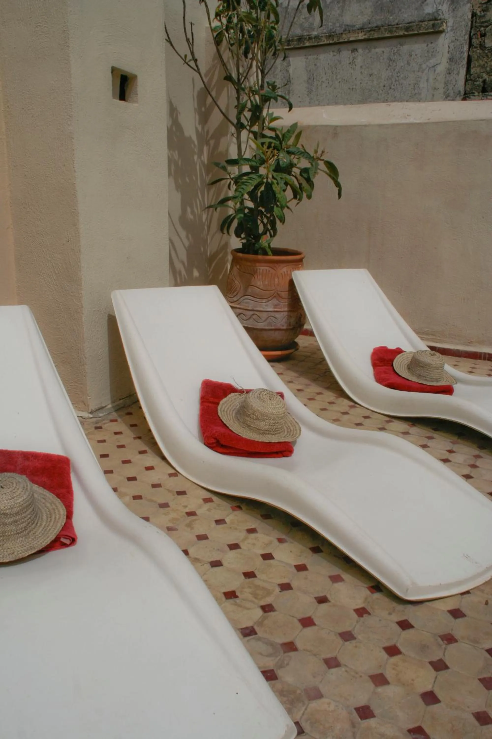 Day in Riad Tizwa Fes