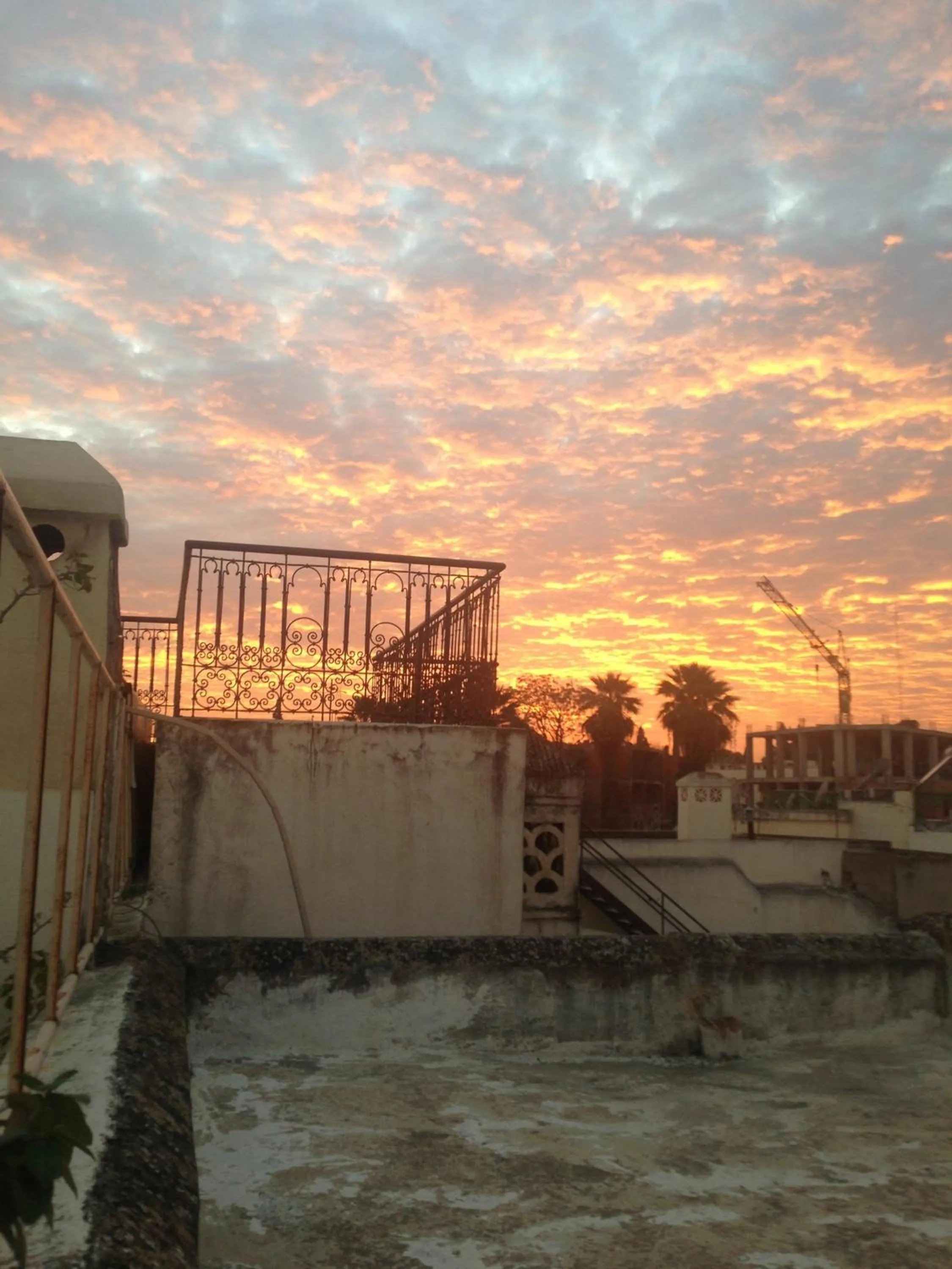 Balcony/Terrace in Riad Tizwa Fes