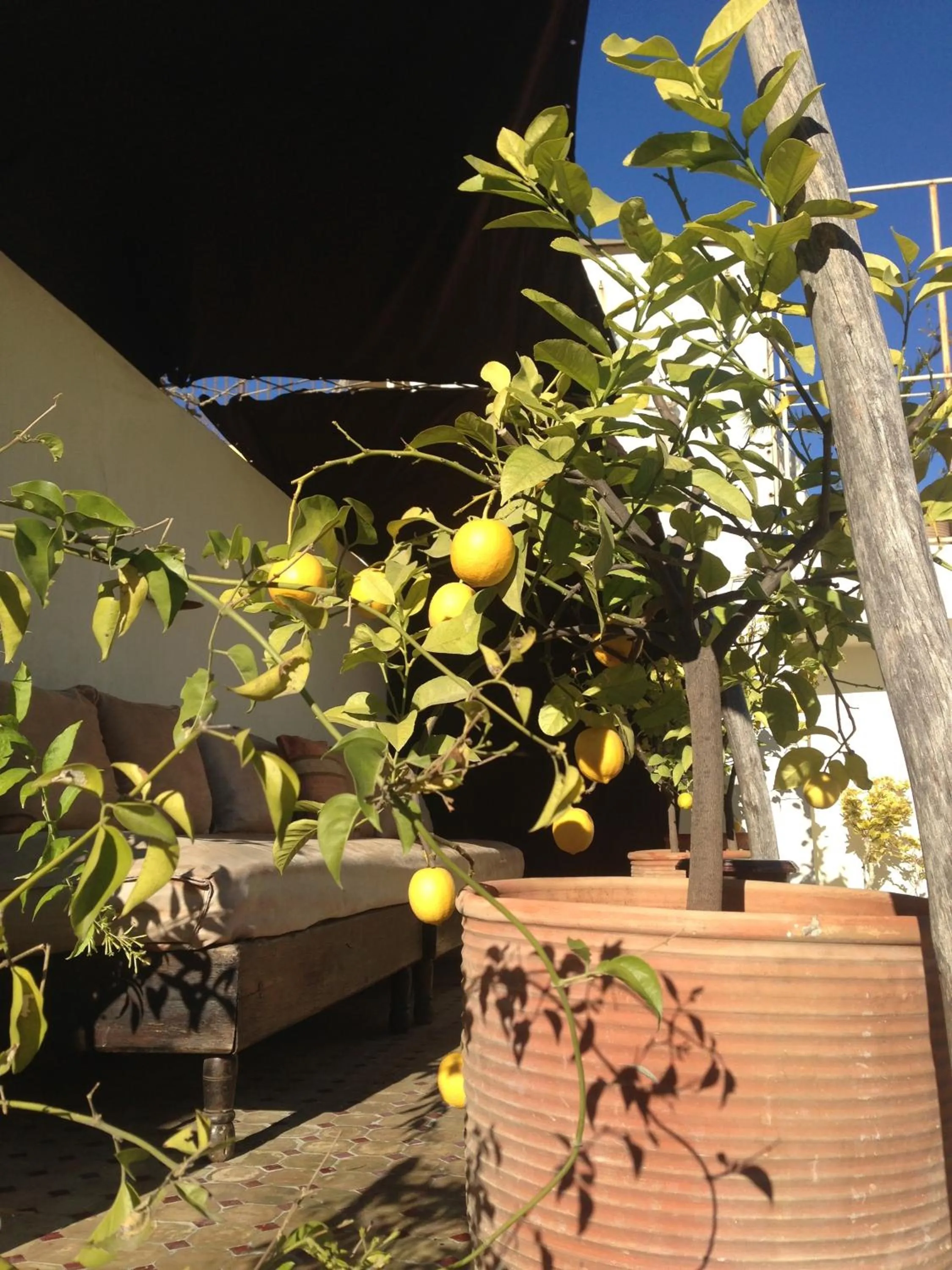 Day in Riad Tizwa Fes