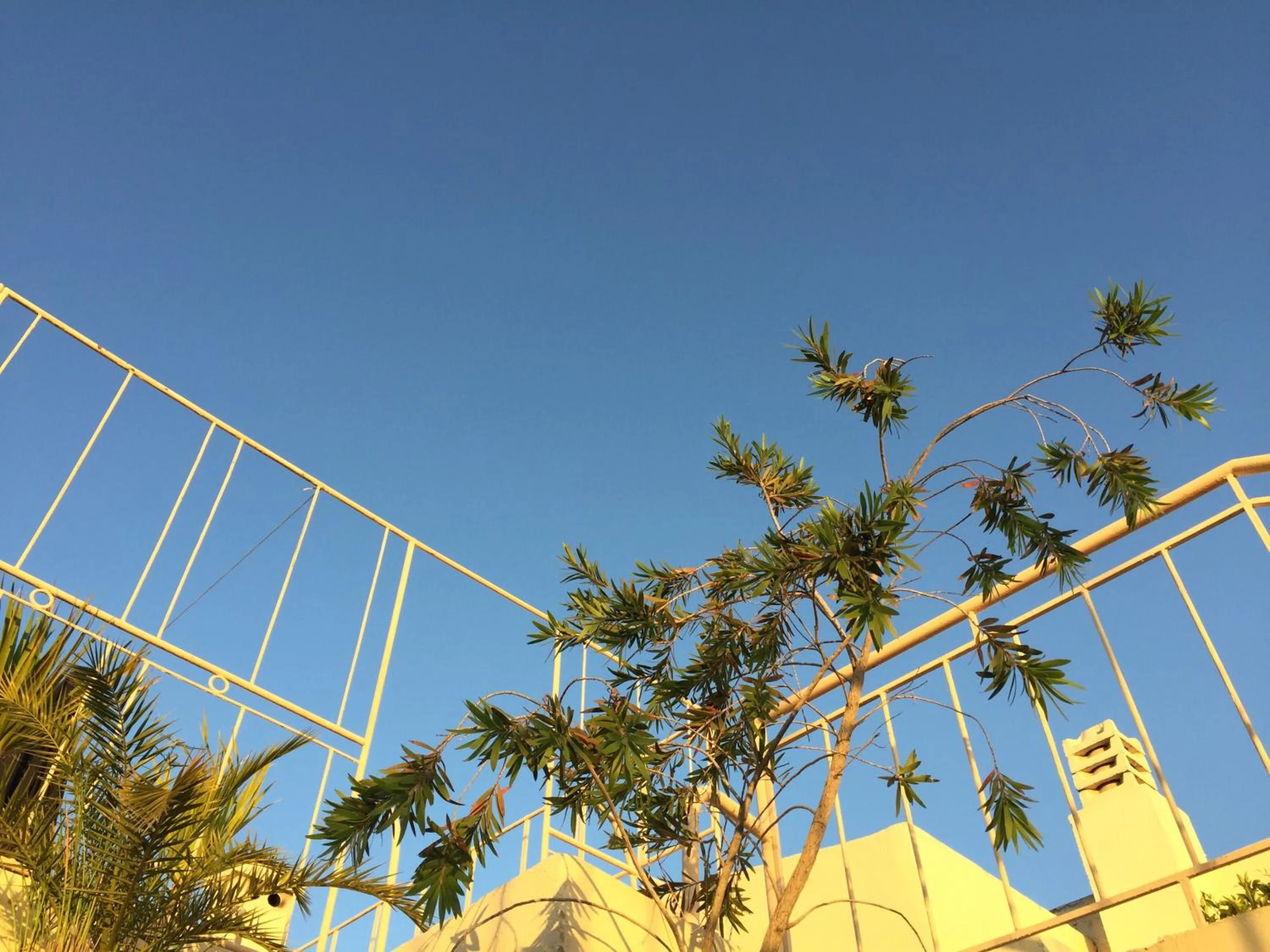 Property building in Riad Tizwa Fes