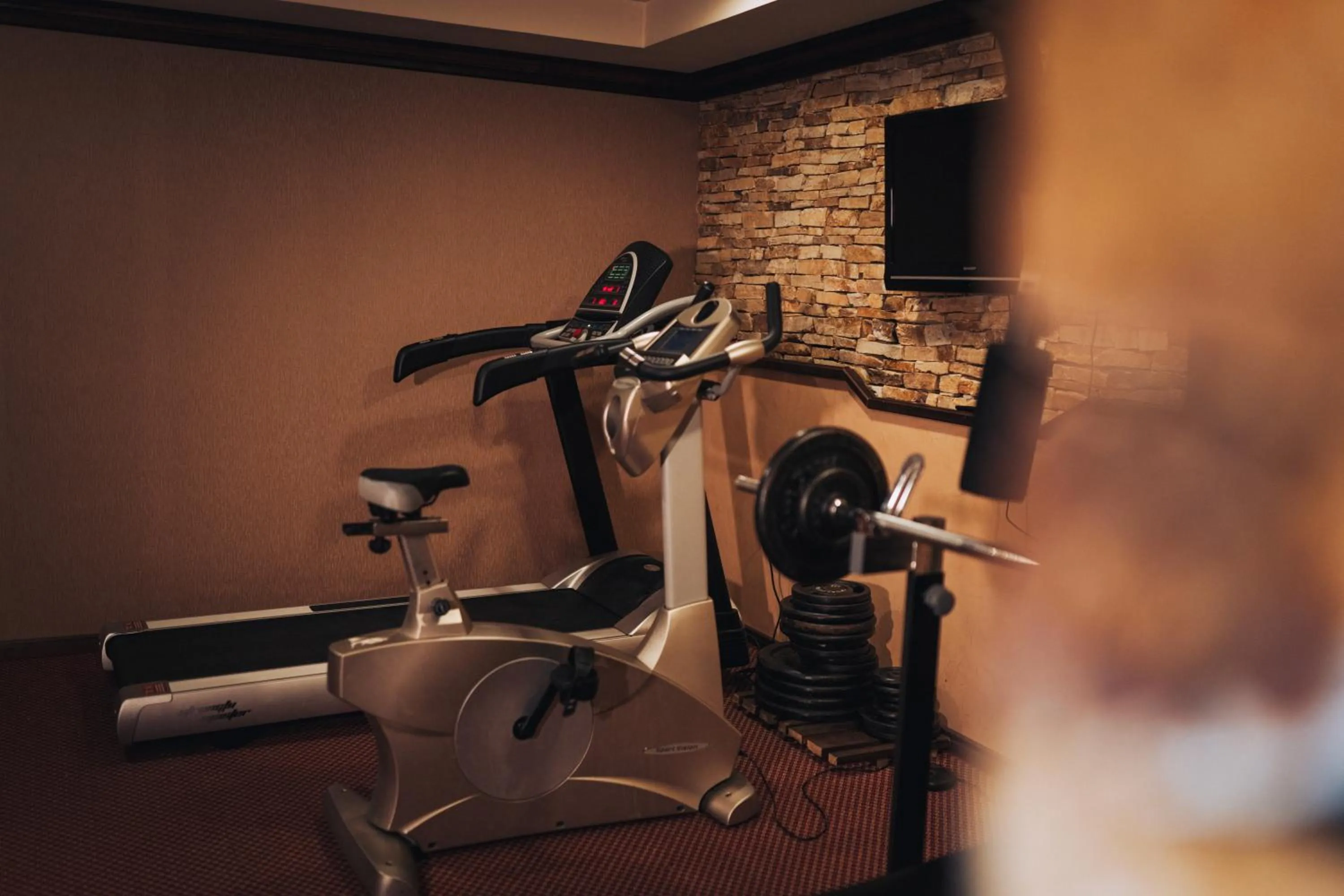Fitness centre/facilities in Apartments Bansko