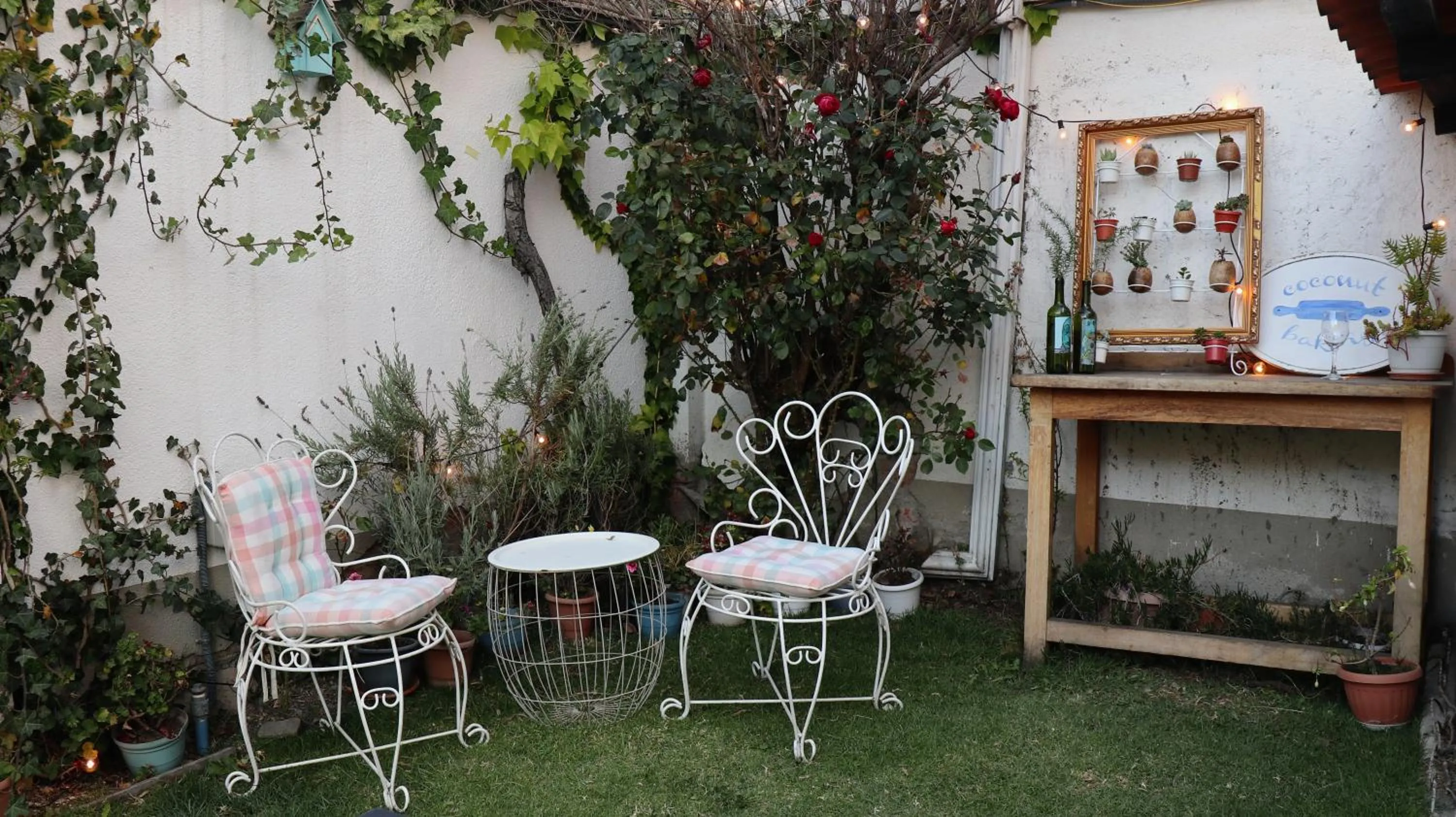 Garden in Casa Fusion Hotel Boutique