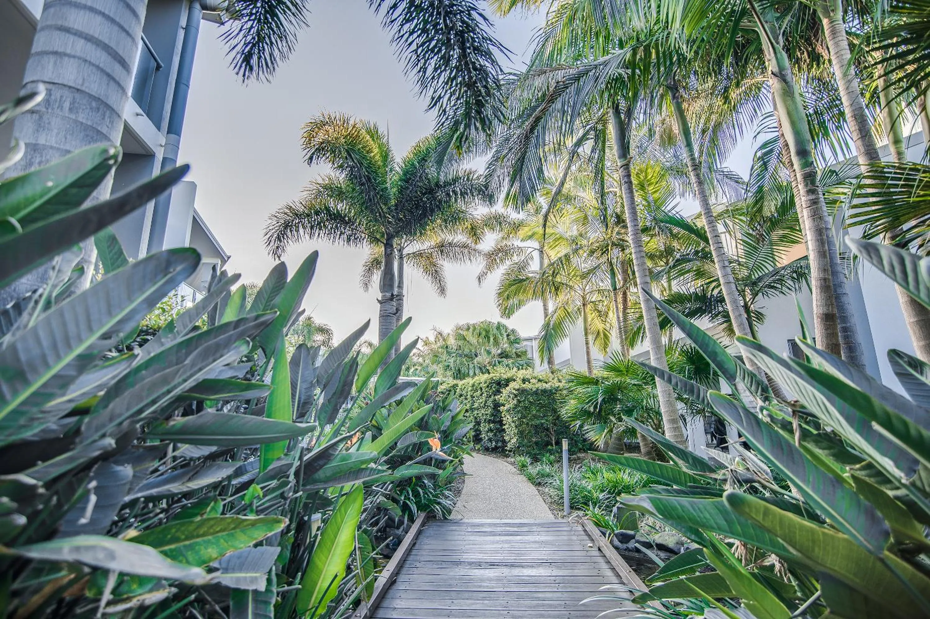 Garden in Coolum At The Beach