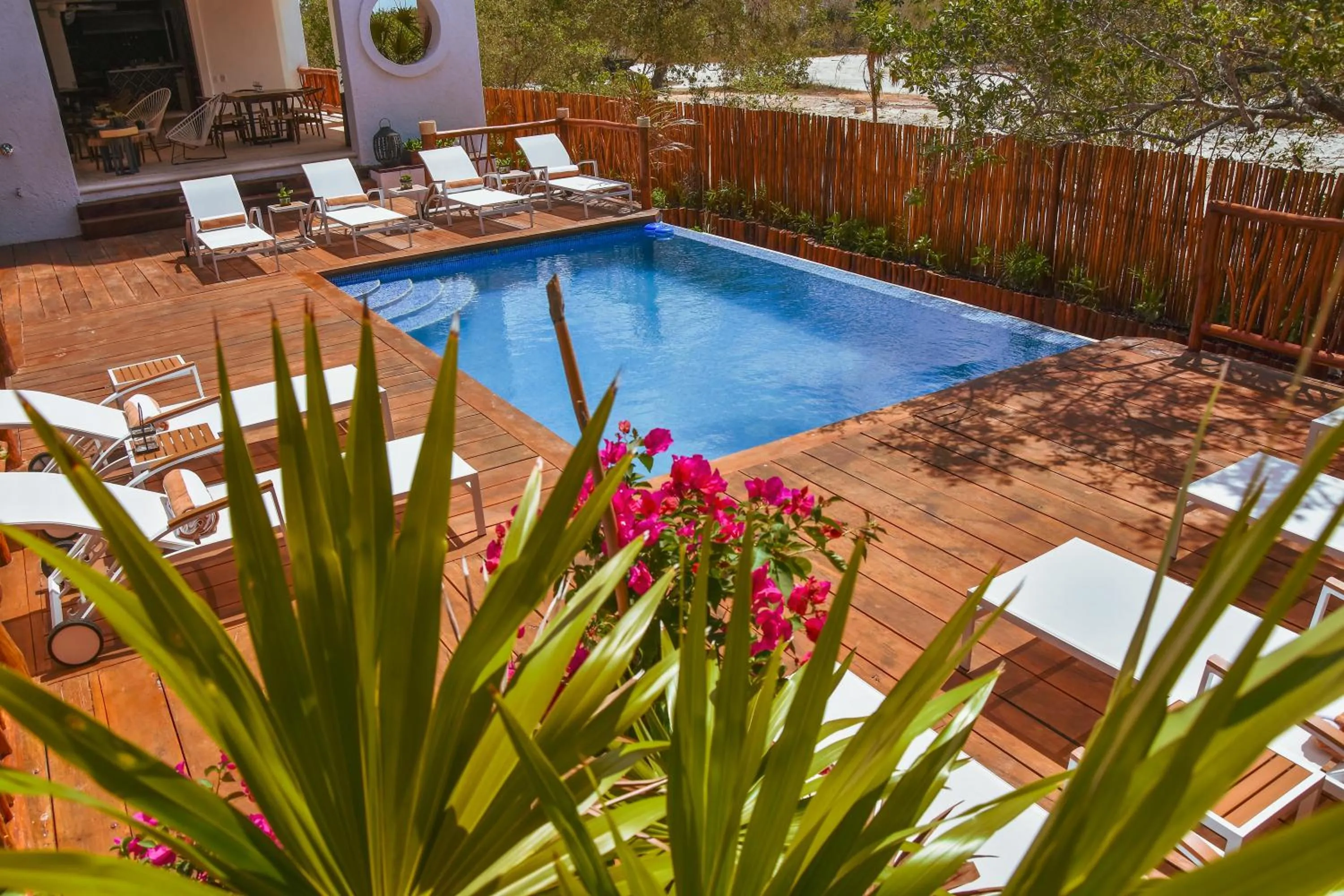 Pool view in Hotel Casa HX - Adults Only