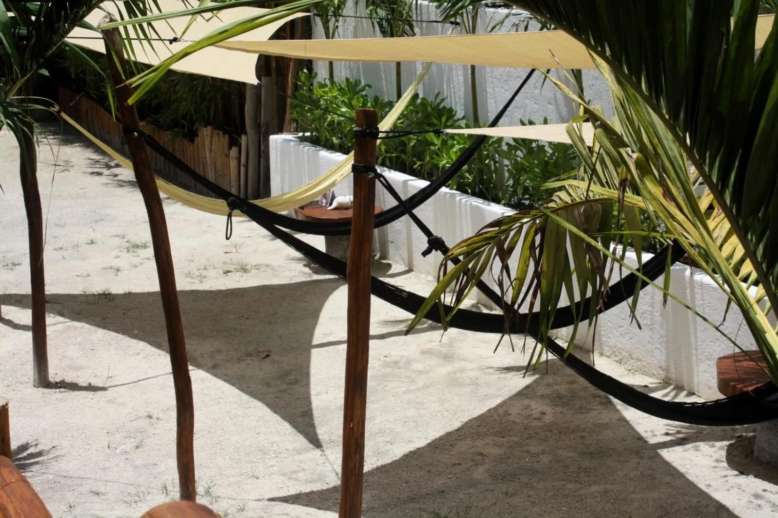 Garden in Hotel Casa HX - Adults Only