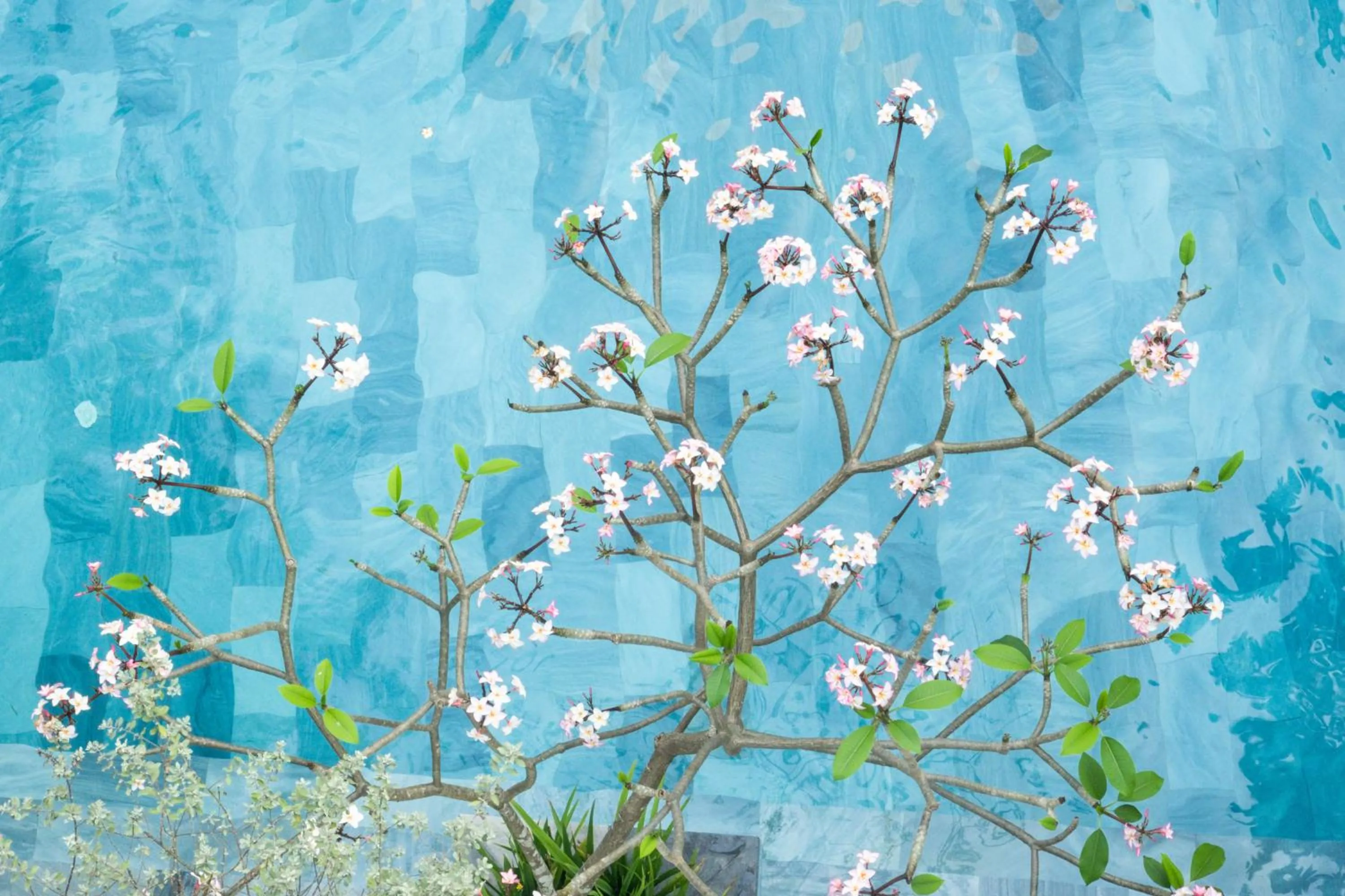 Swimming pool in Salmalia Boutique Hotel & Spa