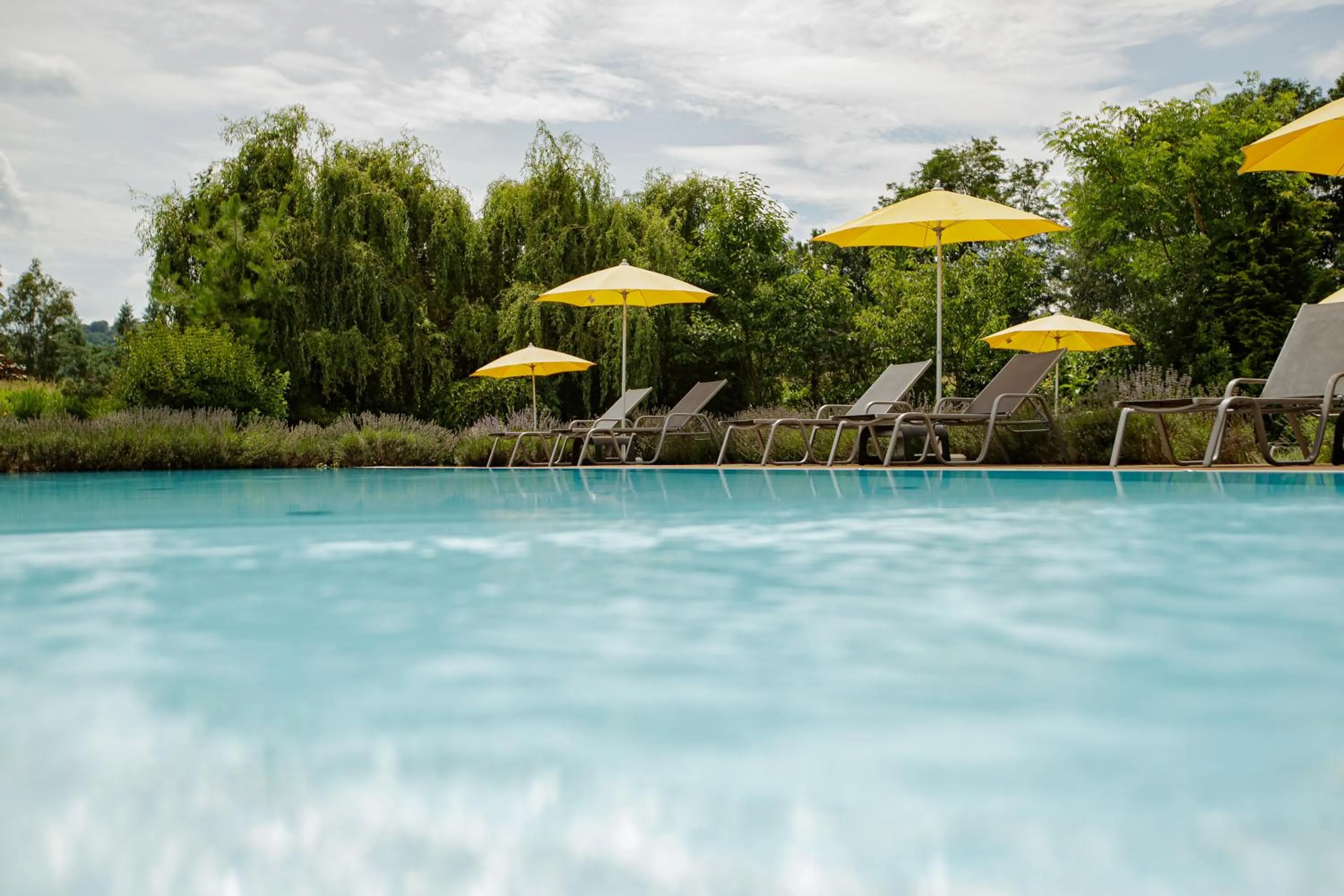 Garden in Hotel Garni Toscanina - Adults Only