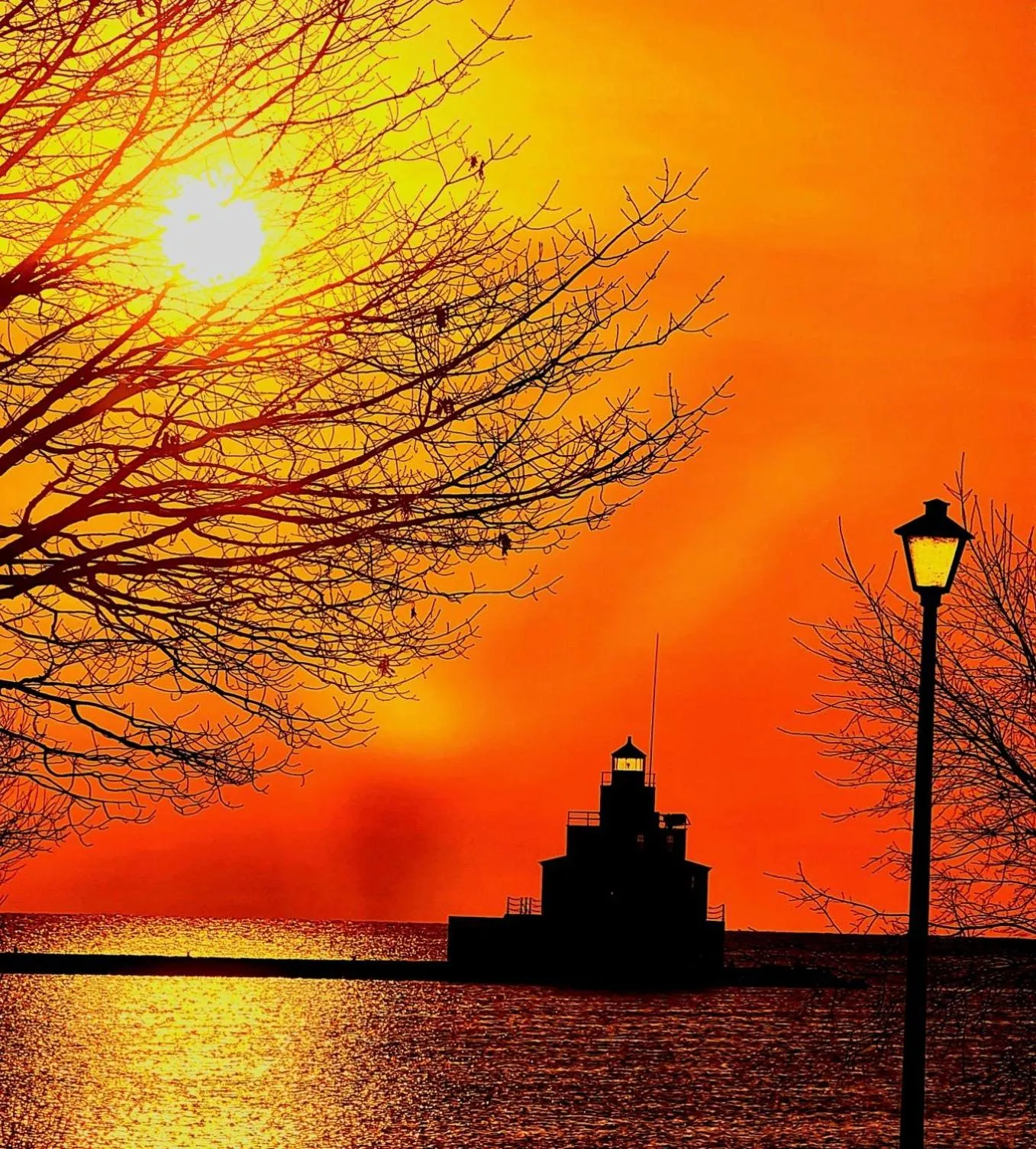 Natural landscape in The Inn on Maritime Bay, an Ascend Collection Hotel