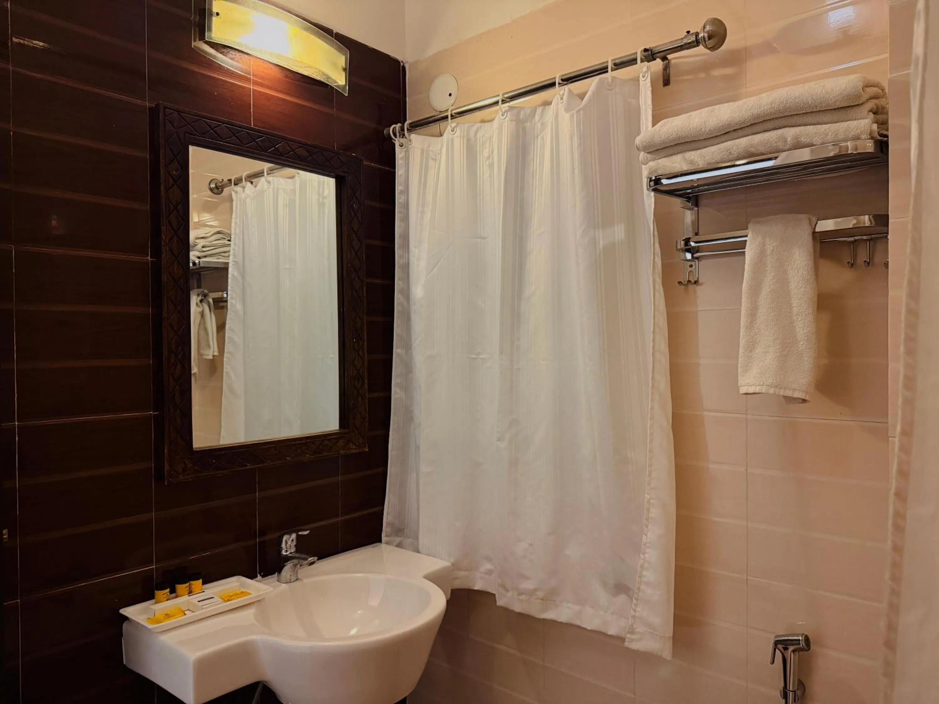 Toilet in Atulya Niwas