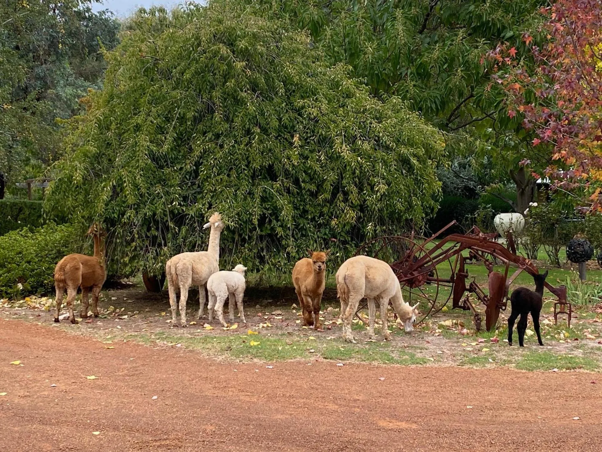 Balingup Jalbrook Cottages Jalbrook Estate