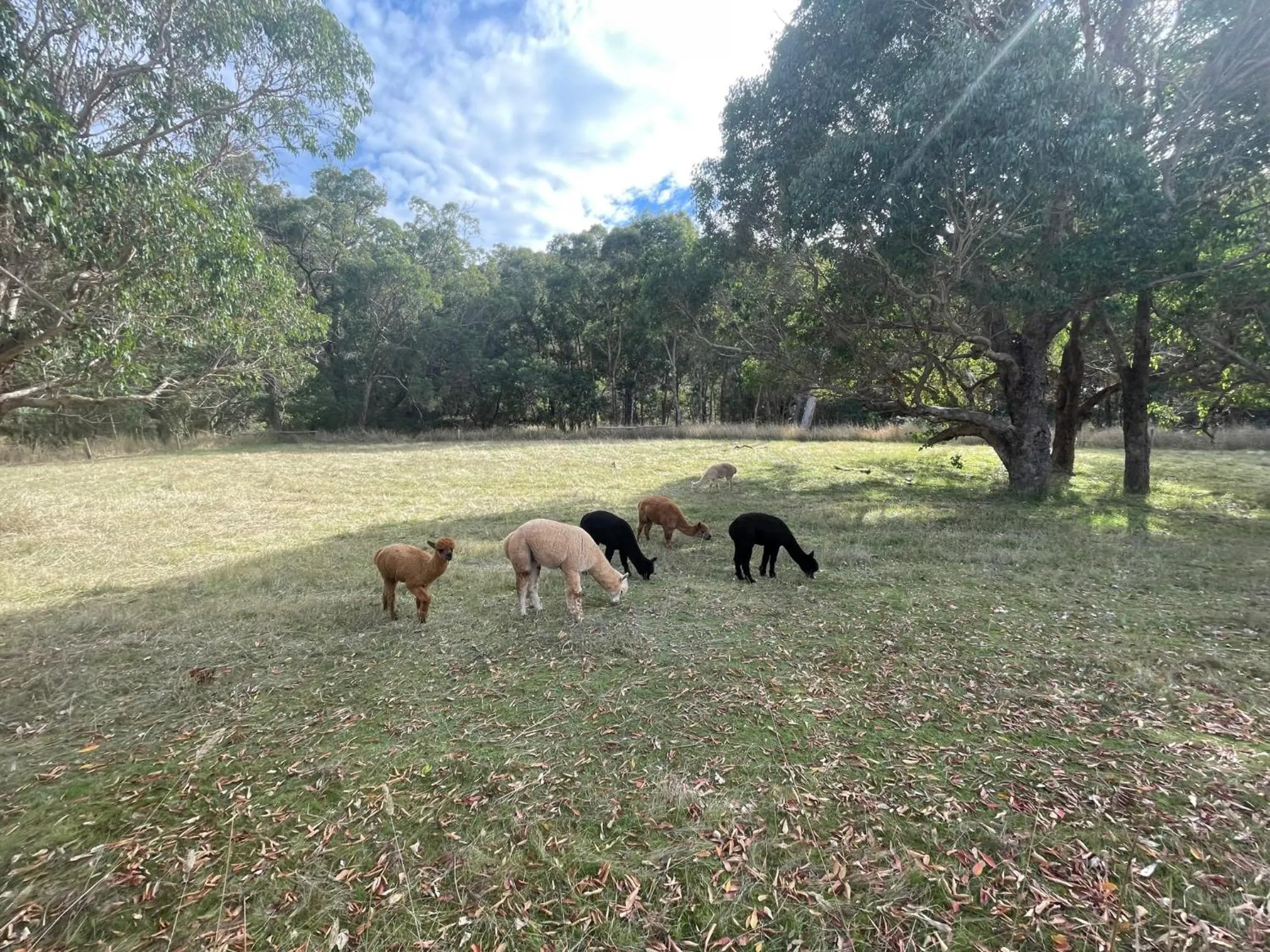 Balingup Jalbrook Cottages Jalbrook Estate