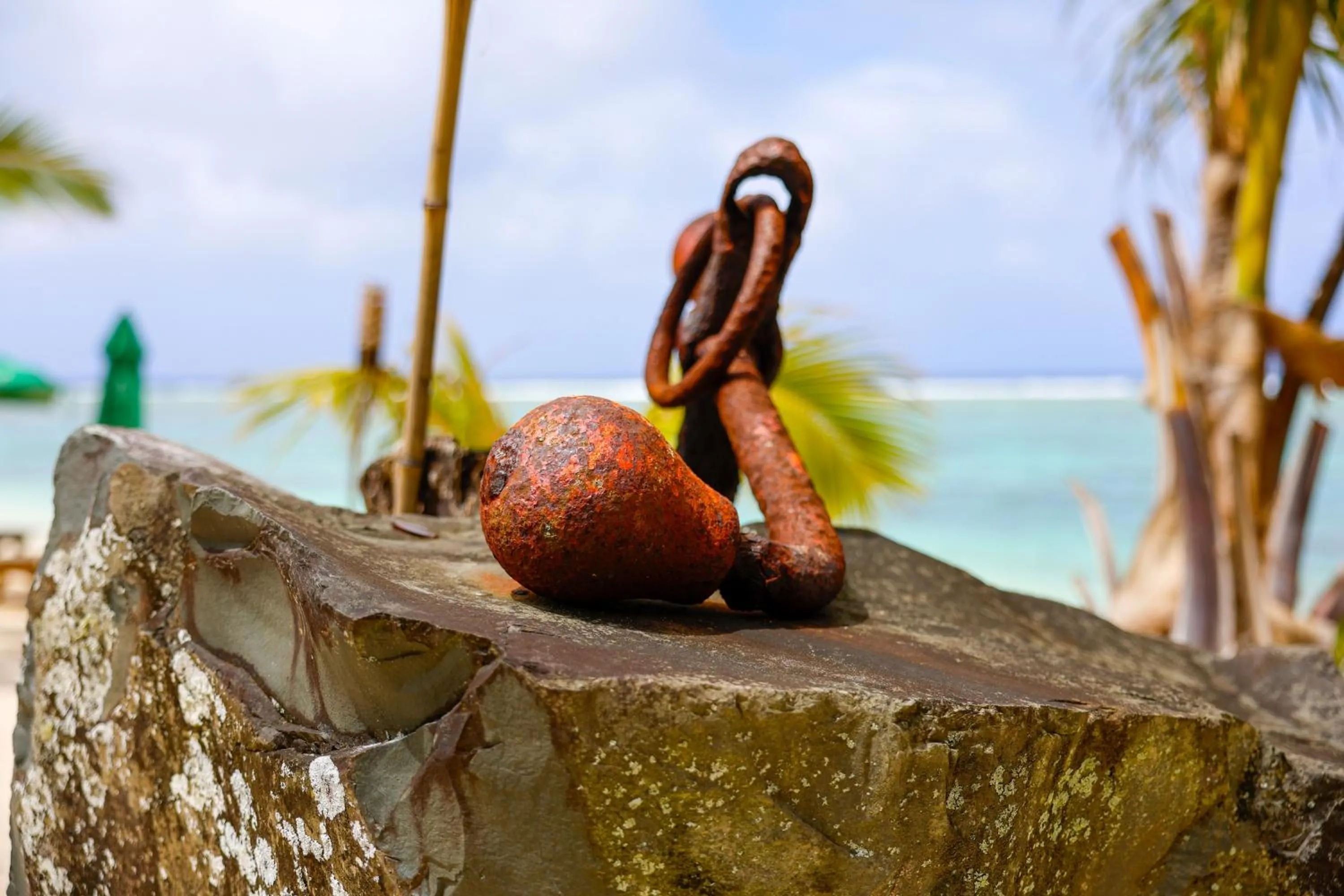 Beach in Aroa Beachside Resort