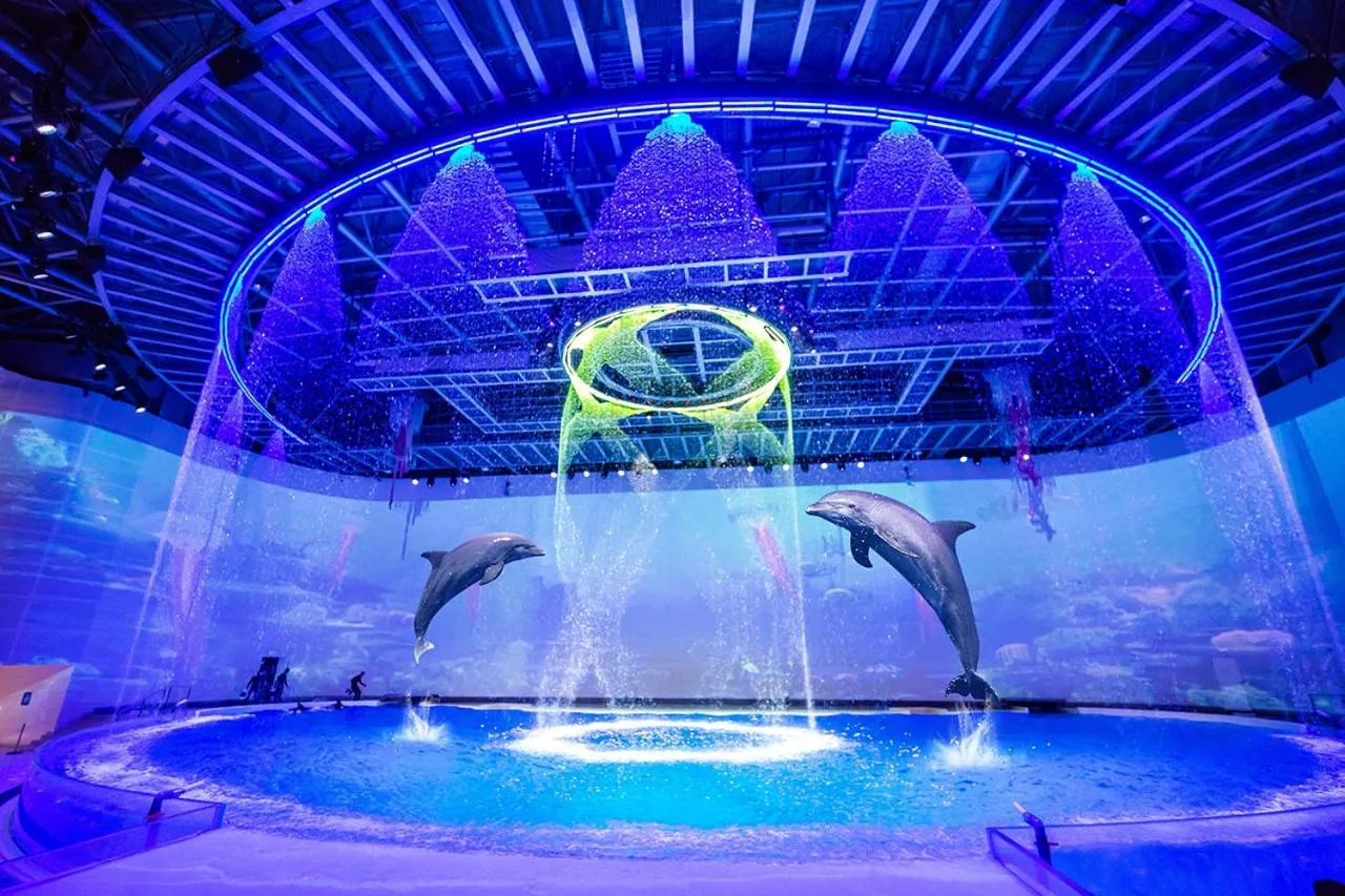 Other in Shanghai Haichang Ocean Park Resort Hotel