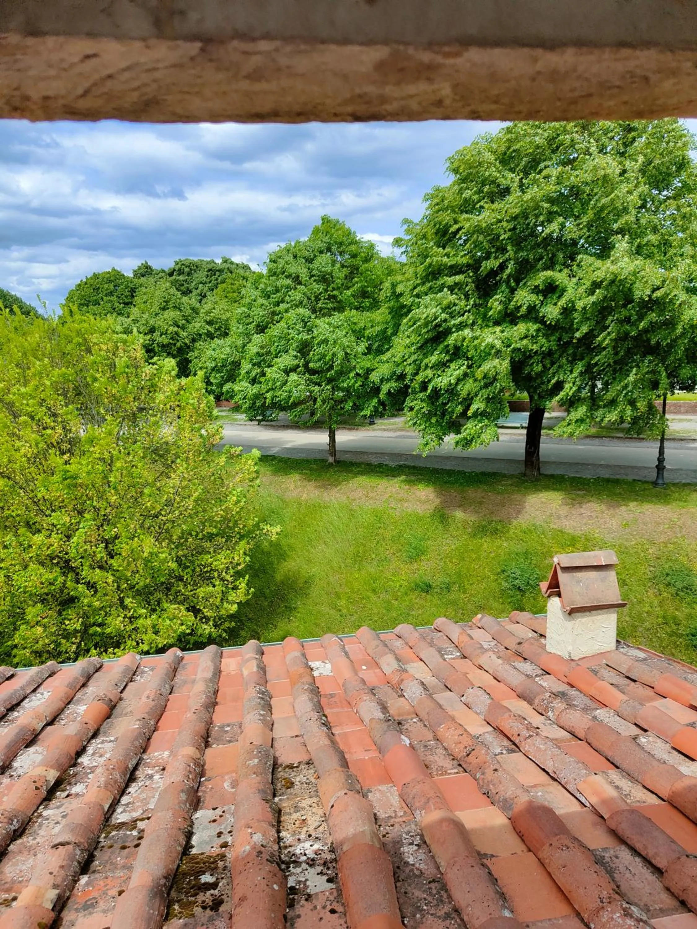 Spring in Inside the Wall