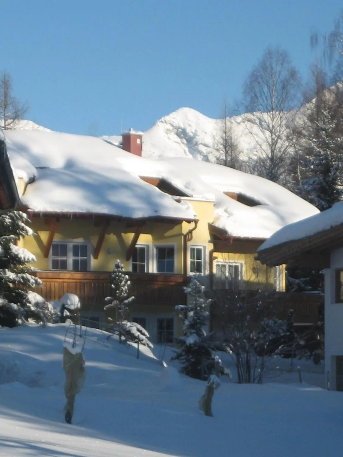 Haus Elisengrund am Geigenbuehel - chalet privé