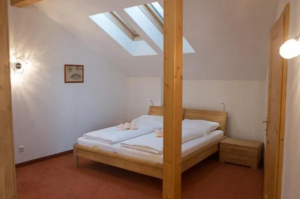 Bed in Haus Elisengrund am Geigenbuehel - chalet privé