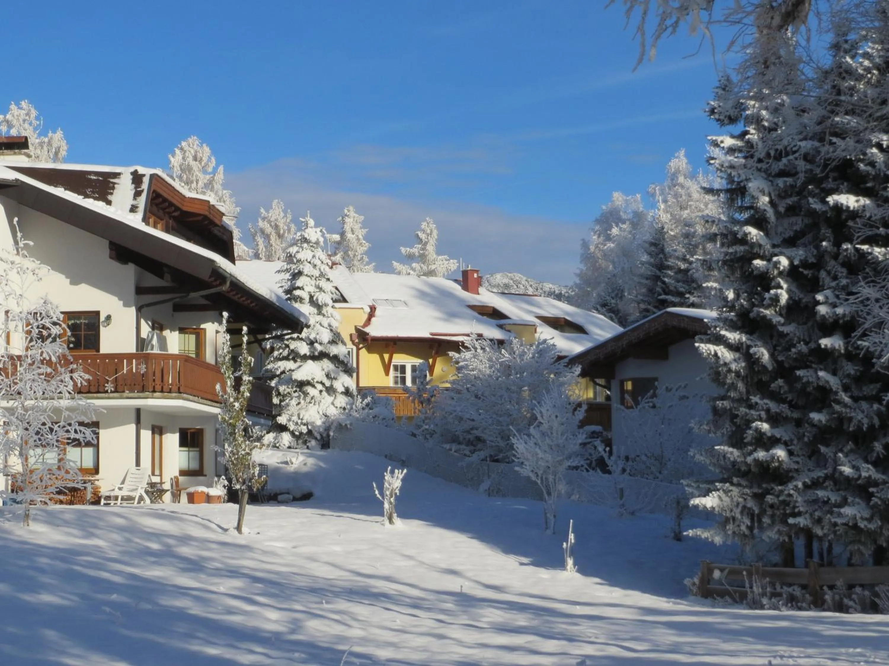 Haus Elisengrund am Geigenbuehel - chalet privé