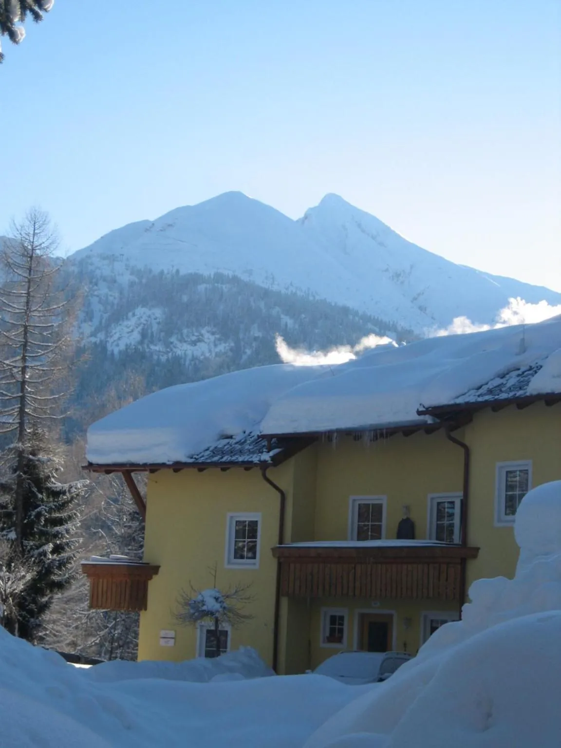 Haus Elisengrund am Geigenbuehel - chalet privé