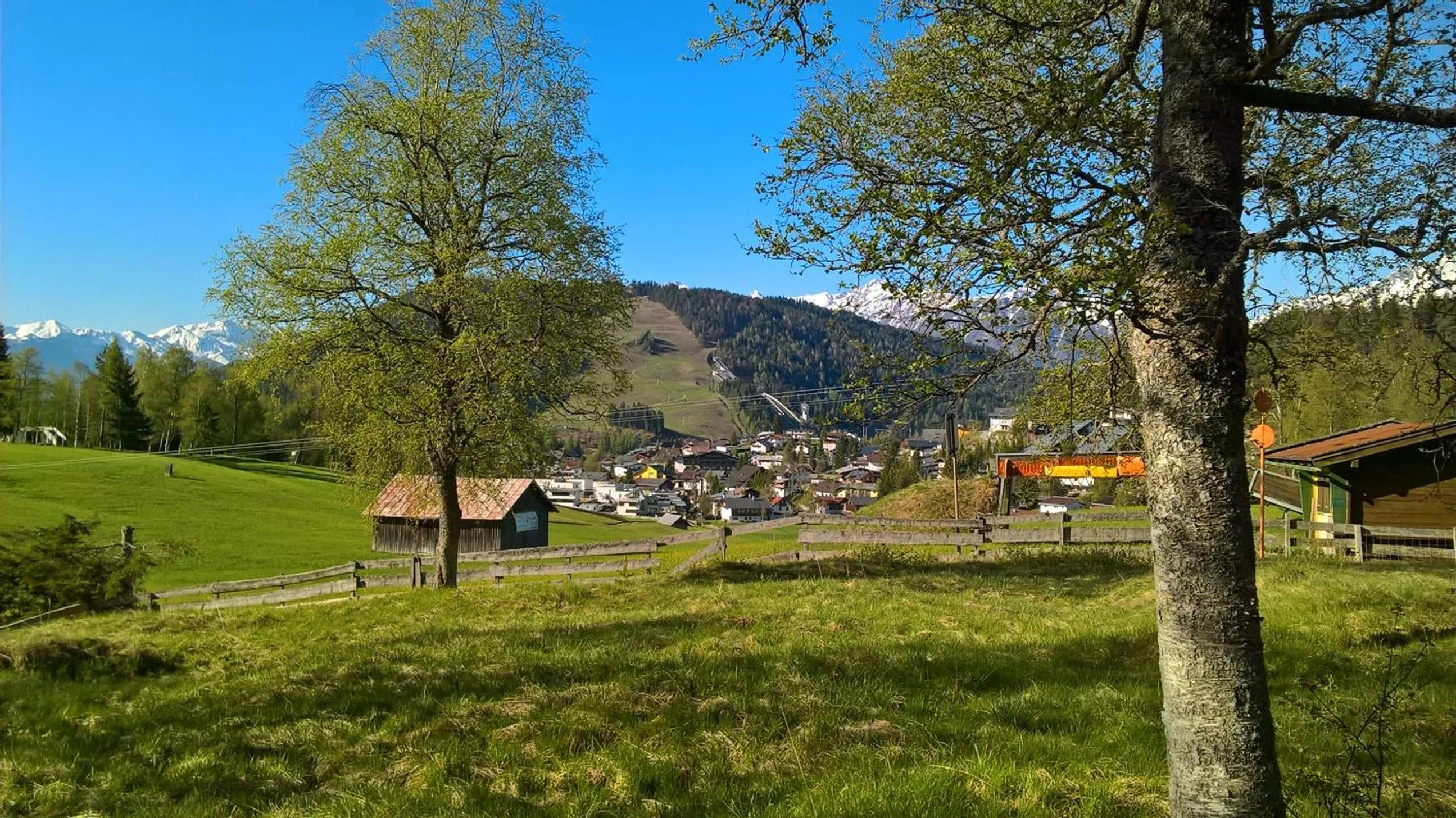 Spring in Haus Elisengrund am Geigenbuehel - chalet privé