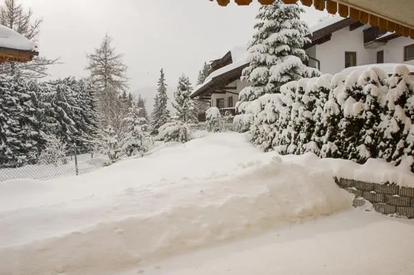 Haus Elisengrund am Geigenbuehel - chalet privé