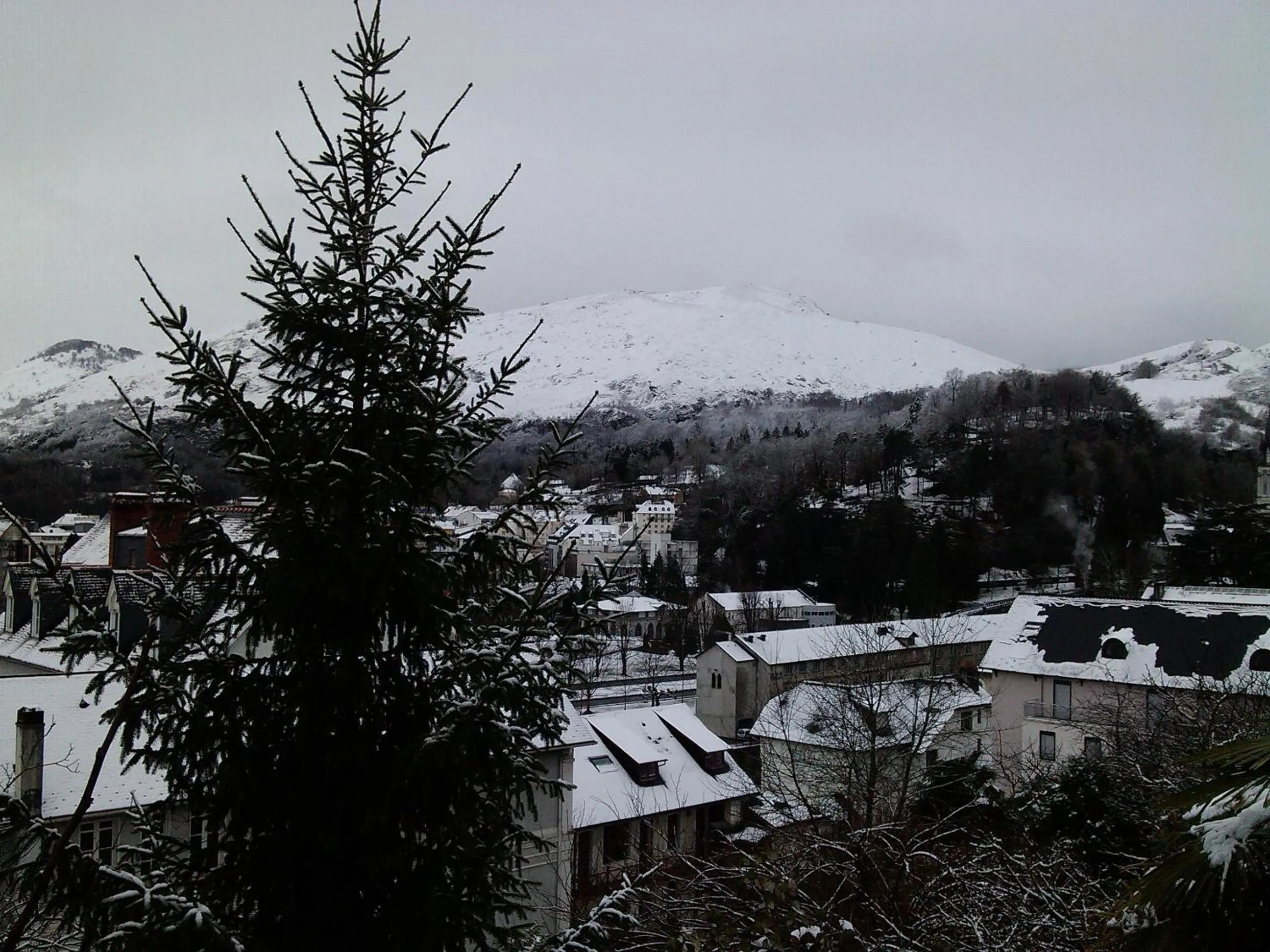 Area and facilities in Hôtel Majestic