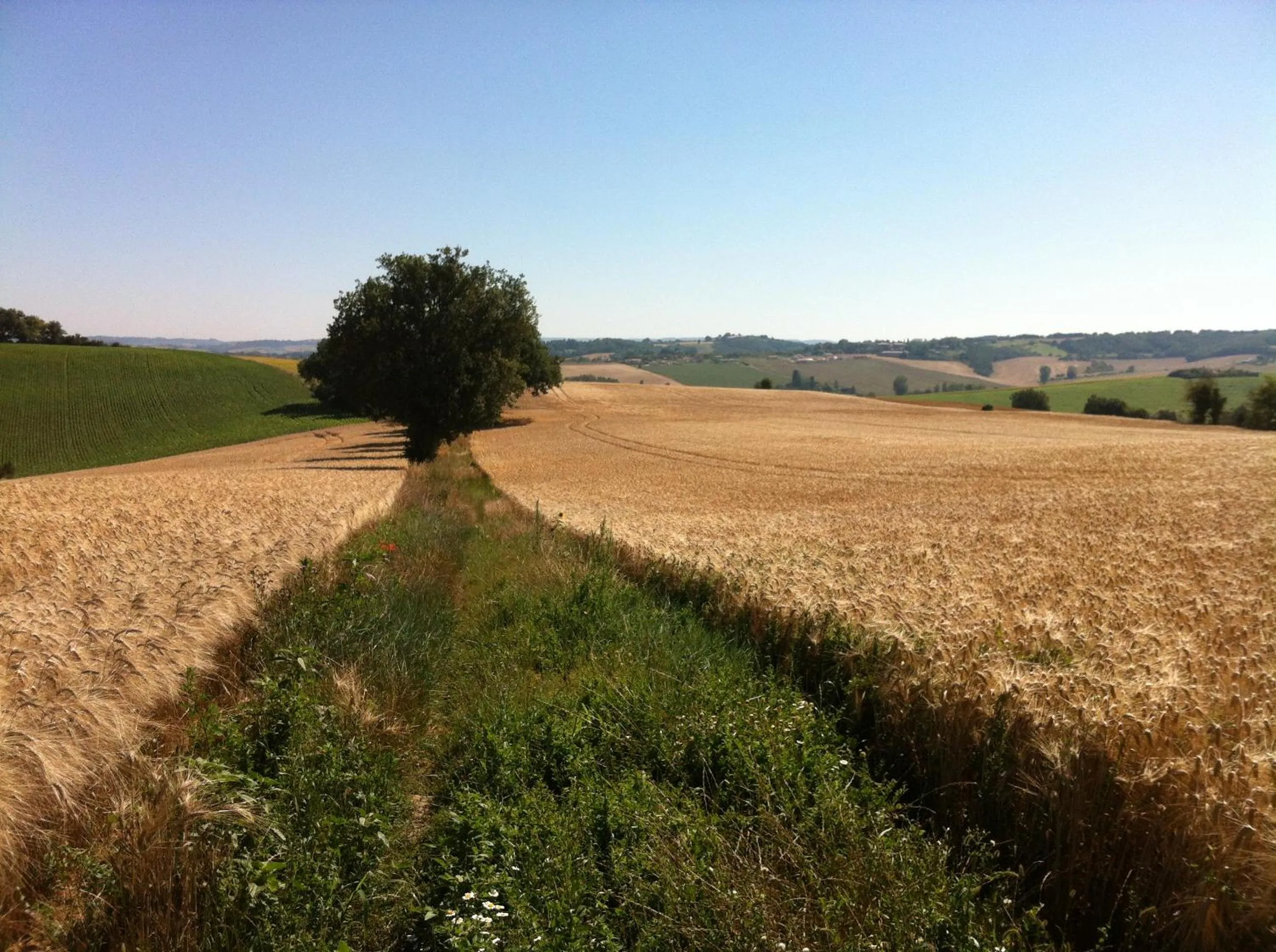 Natural landscape in Le Moulin du Carla